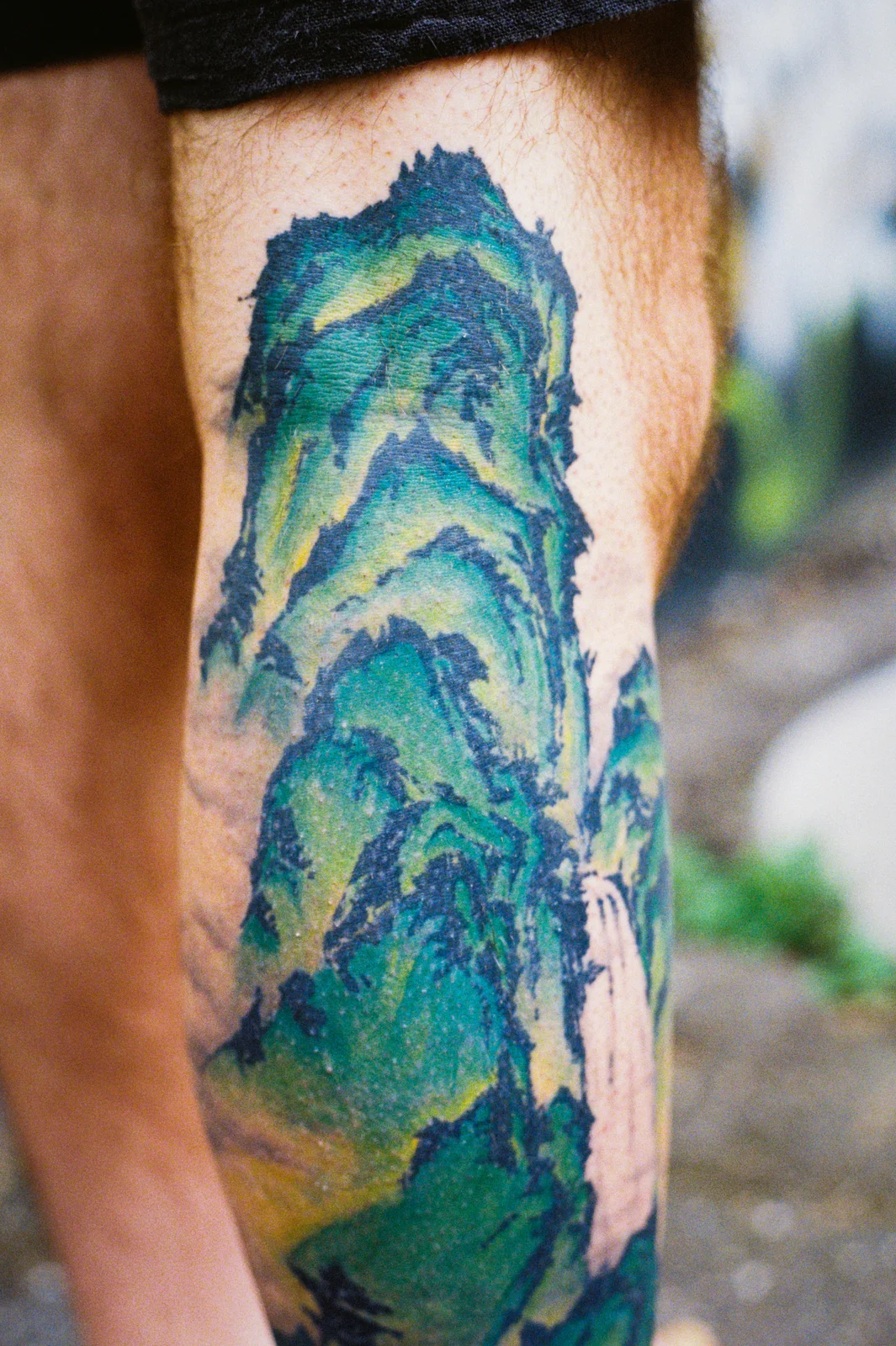 Landscape — calf — 2026, Image 8