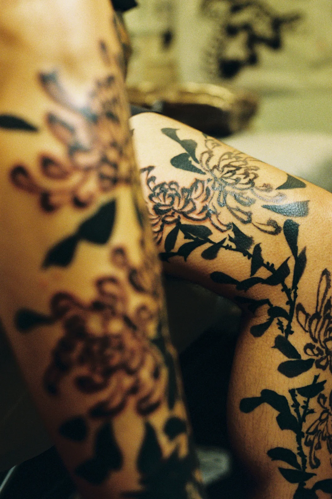 Chrysanthemum — leg — 2025, Image 46