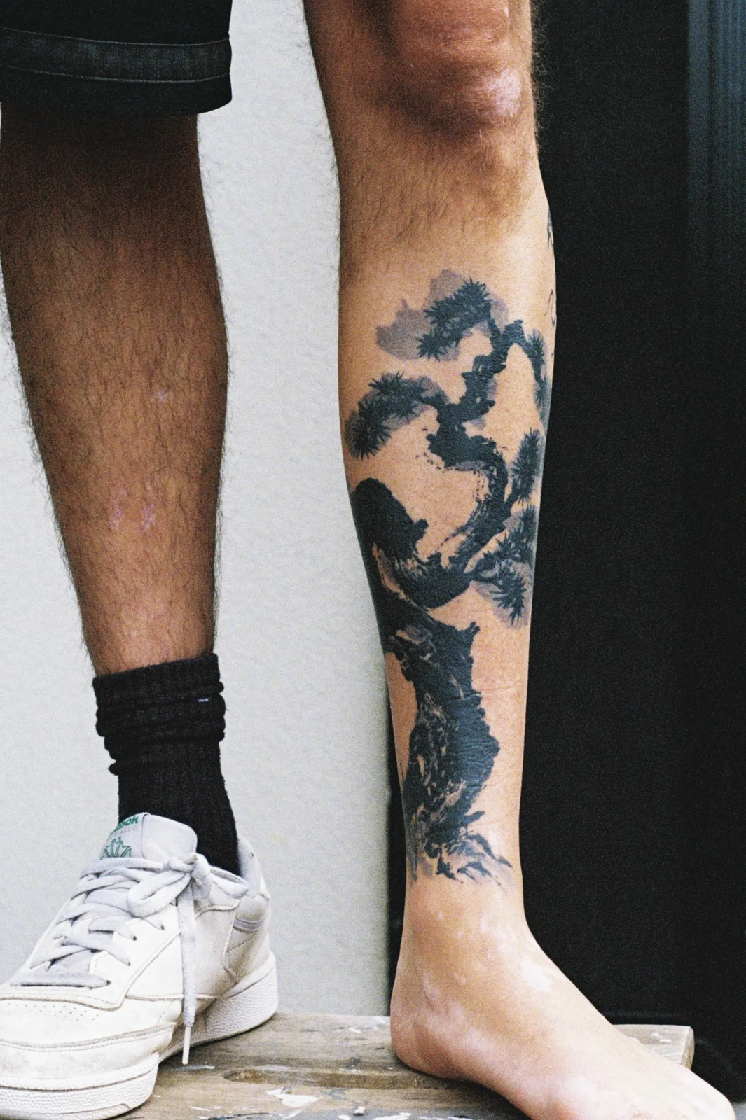 Pine — calf — 2025, Image 7