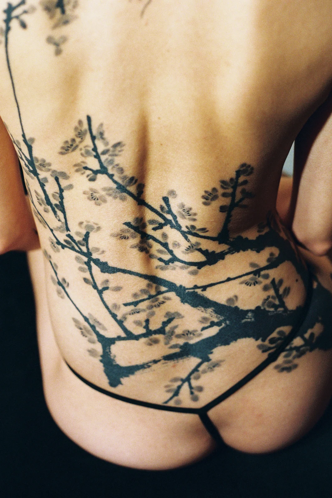 Plum blossom — back — 2025, Image 36