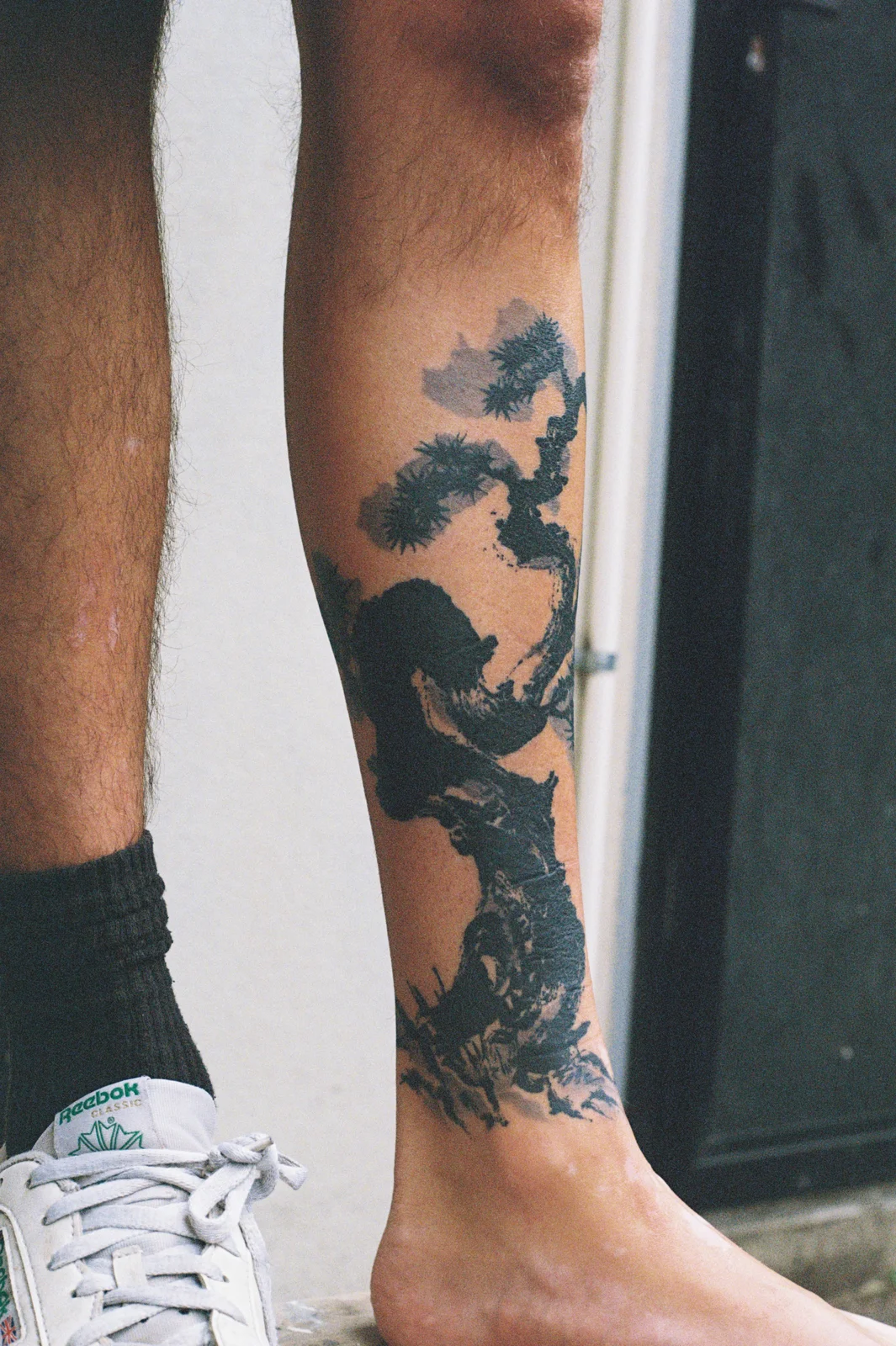 Pine — calf — 2025, Image 5