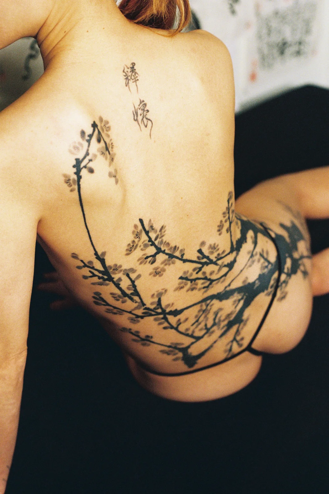 Plum blossom — back — 2025, Image 60