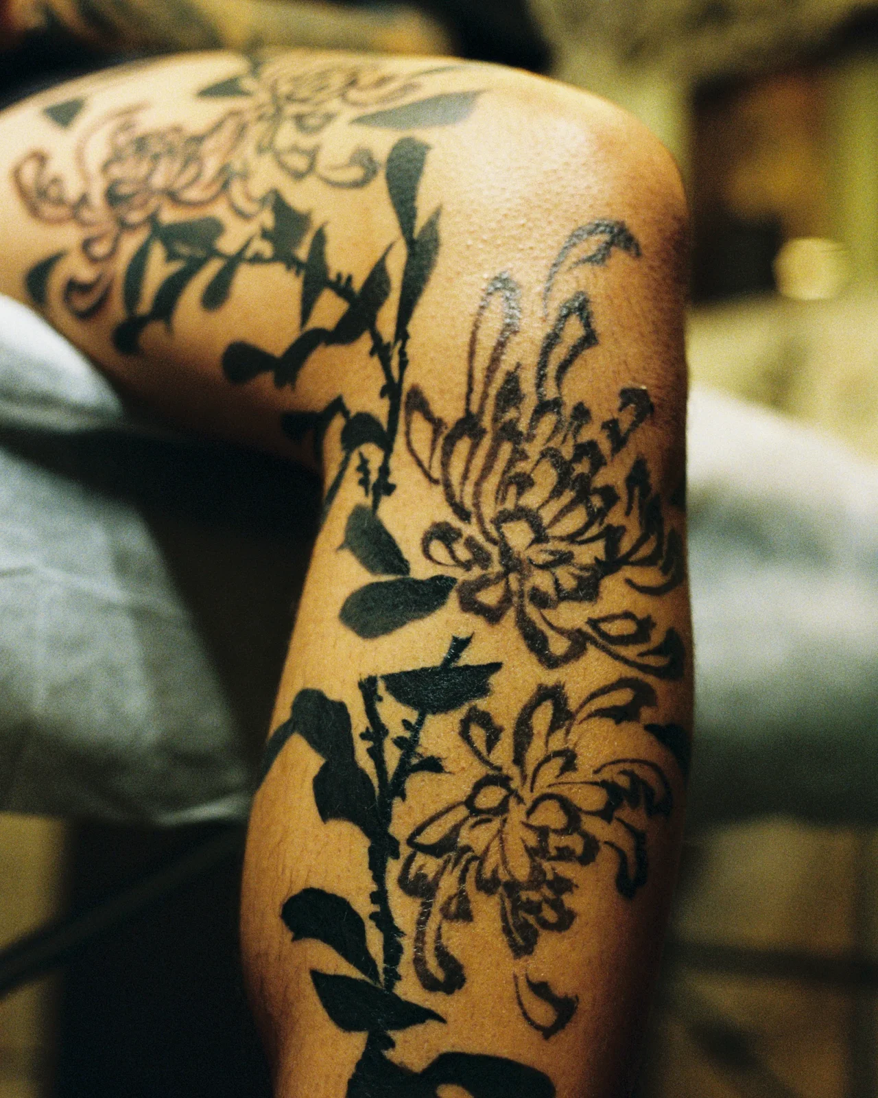 Chrysanthemum — leg — 2025, Image 51