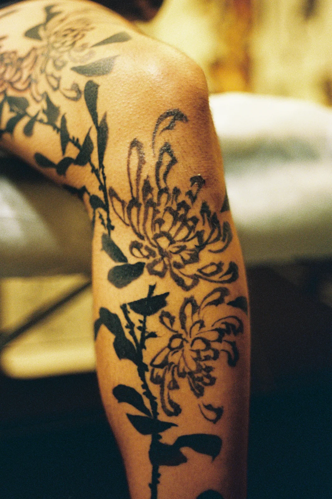 Chrysanthemum — leg — 2025, Image 13