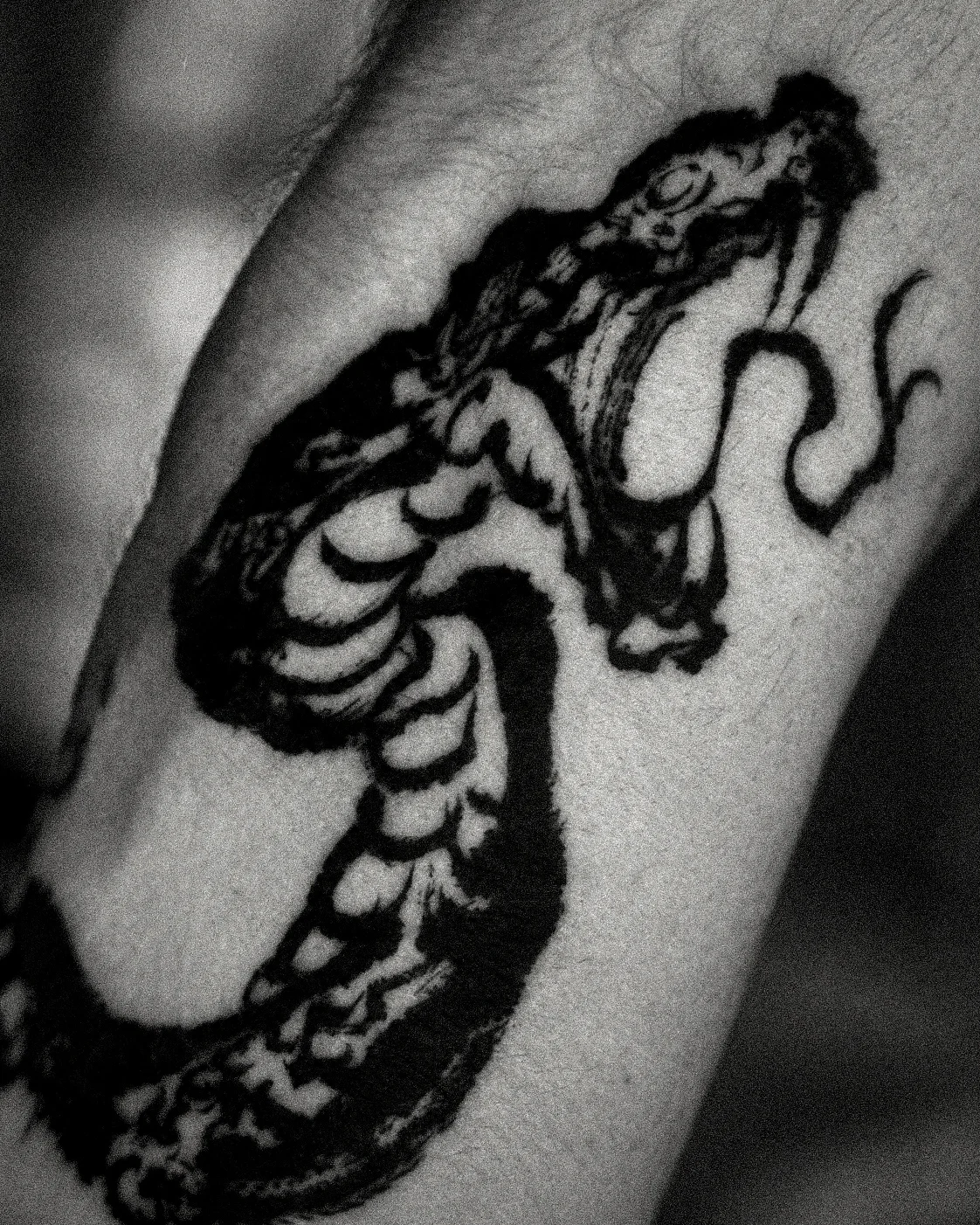 Snake — forearm — Seongjin Kim, 2023