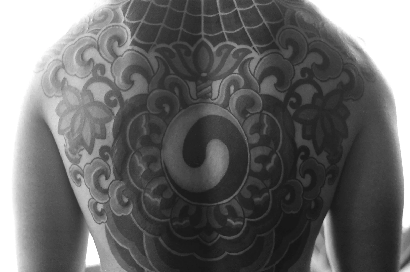 Taegeuk — back — 2024, Image 13