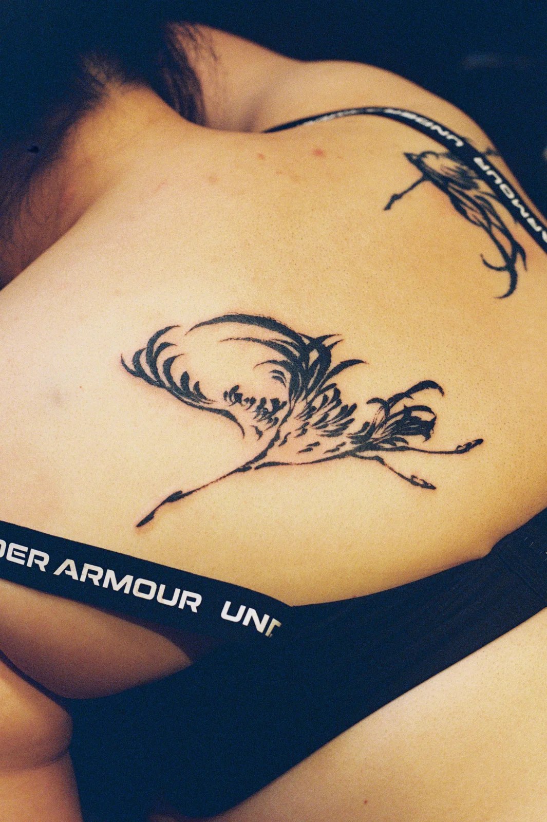 Crane — back 1 — 2026, Image 3