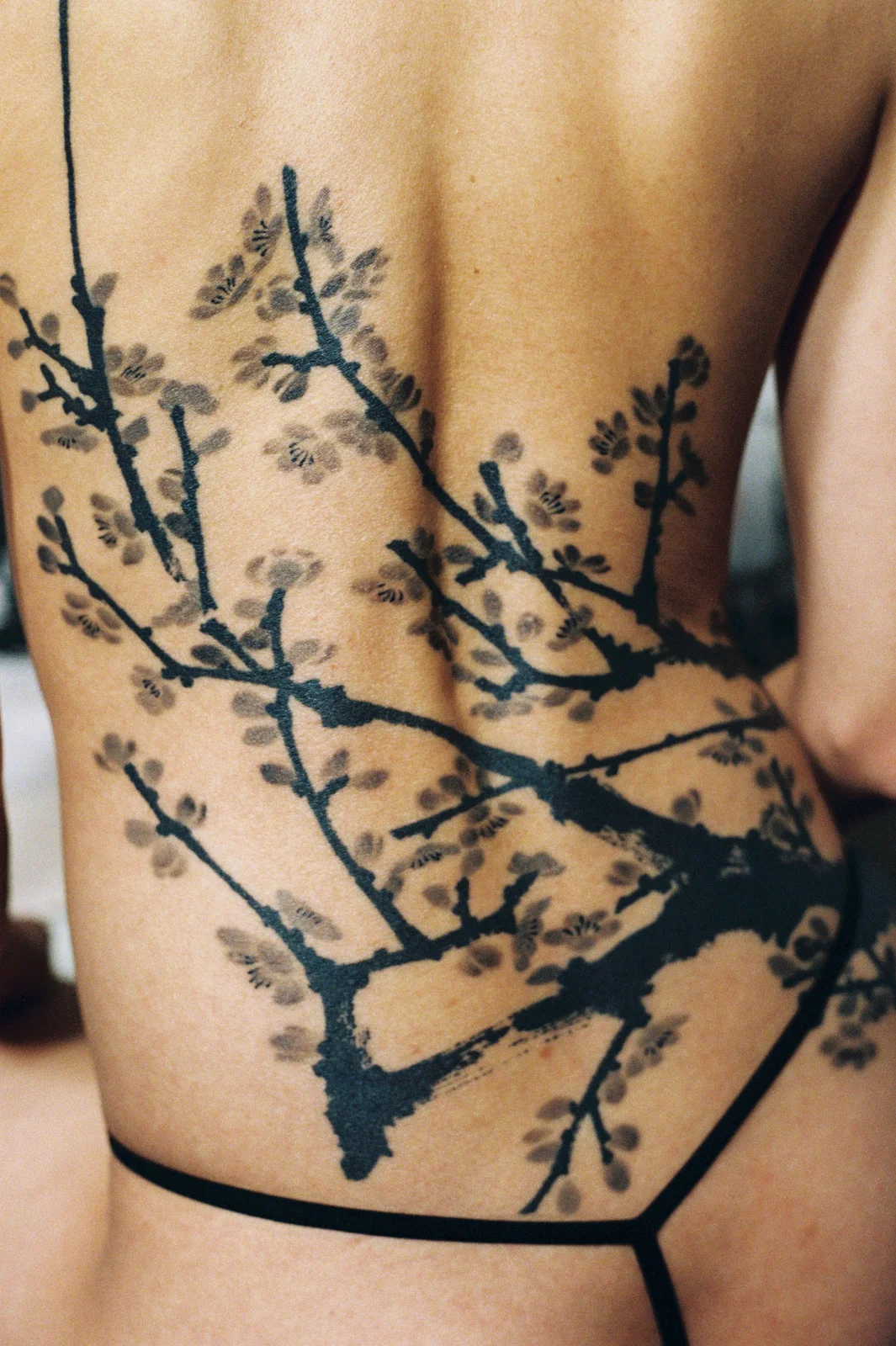 Plum blossom — back — 2025, Image 31