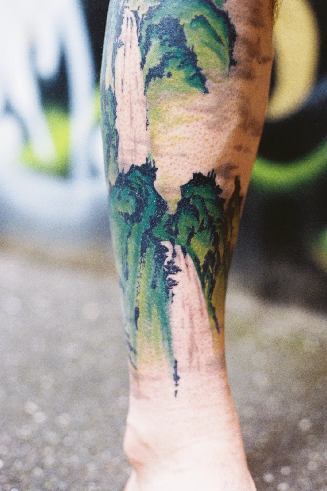 Landscape — calf — 2026, Image 12
