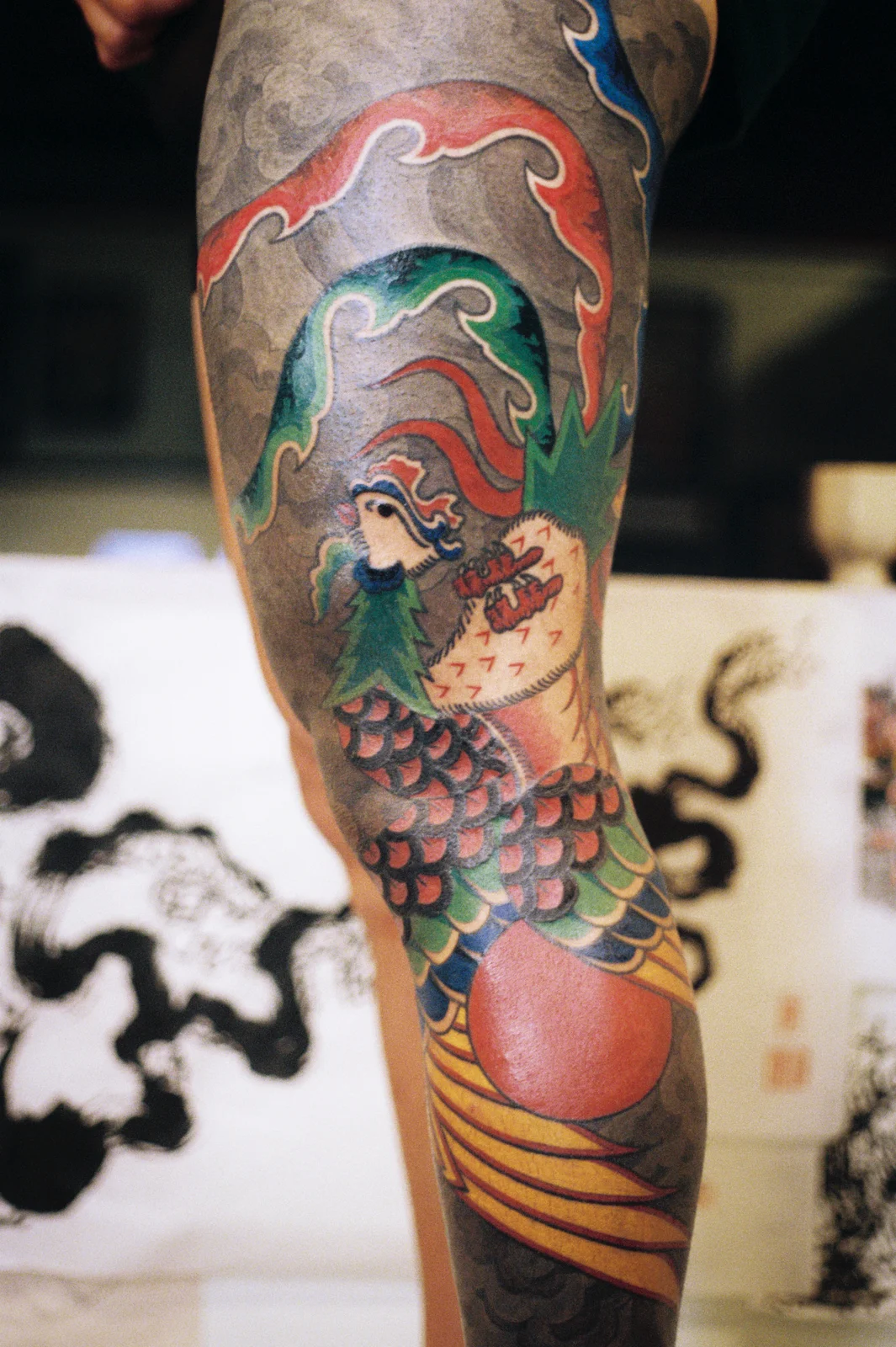 Phoenix — leg — 2025, Image 34