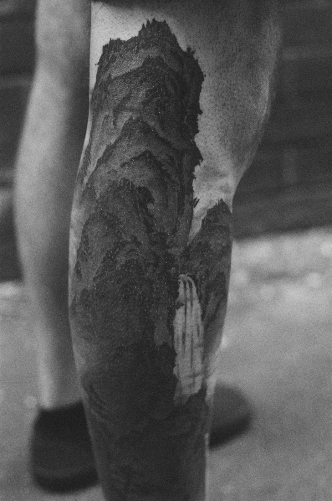 Landscape — calf — 2026, Image 17