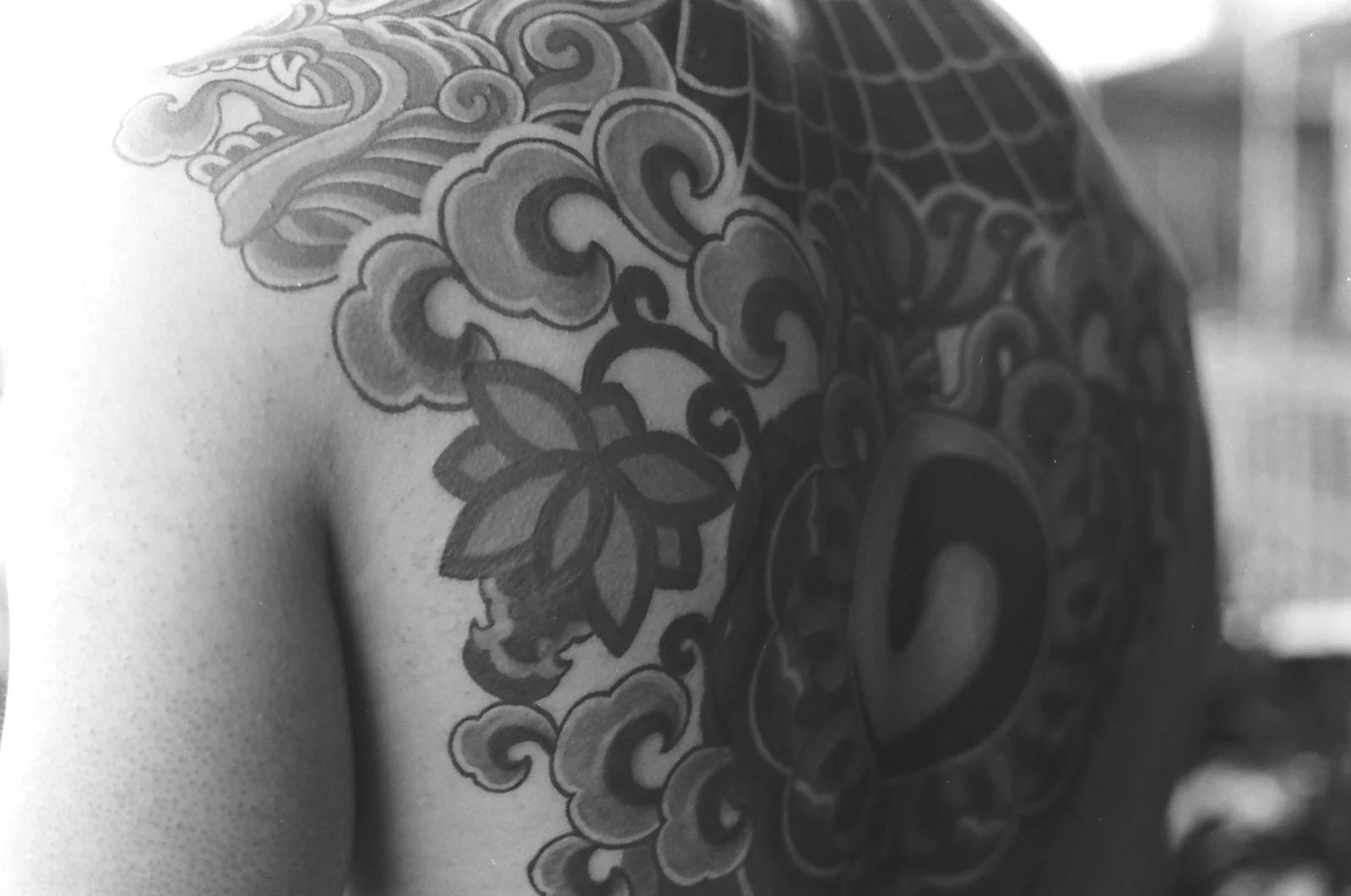 Taegeuk — back — 2024, Image 5