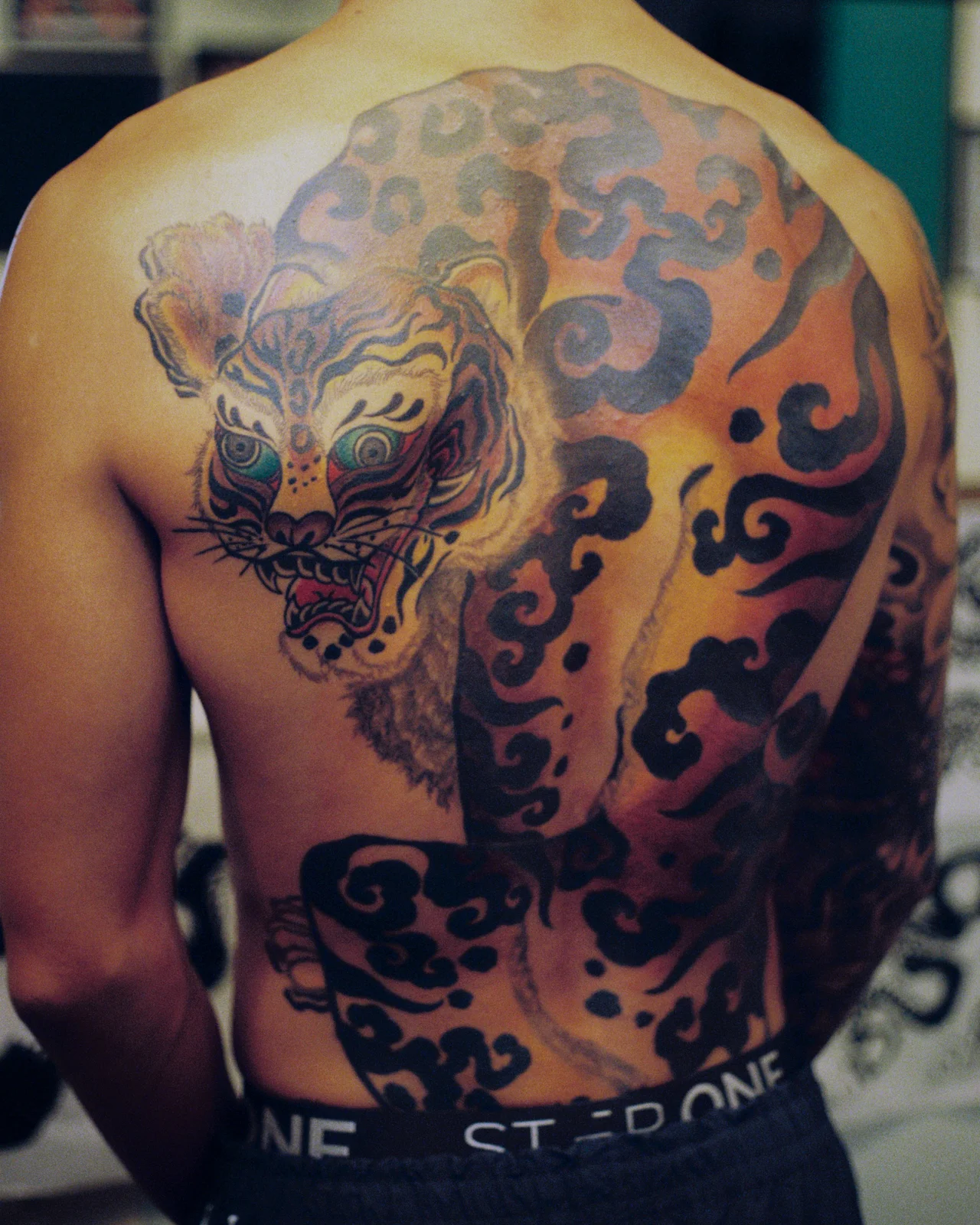Tiger — back — 2026, Image 6