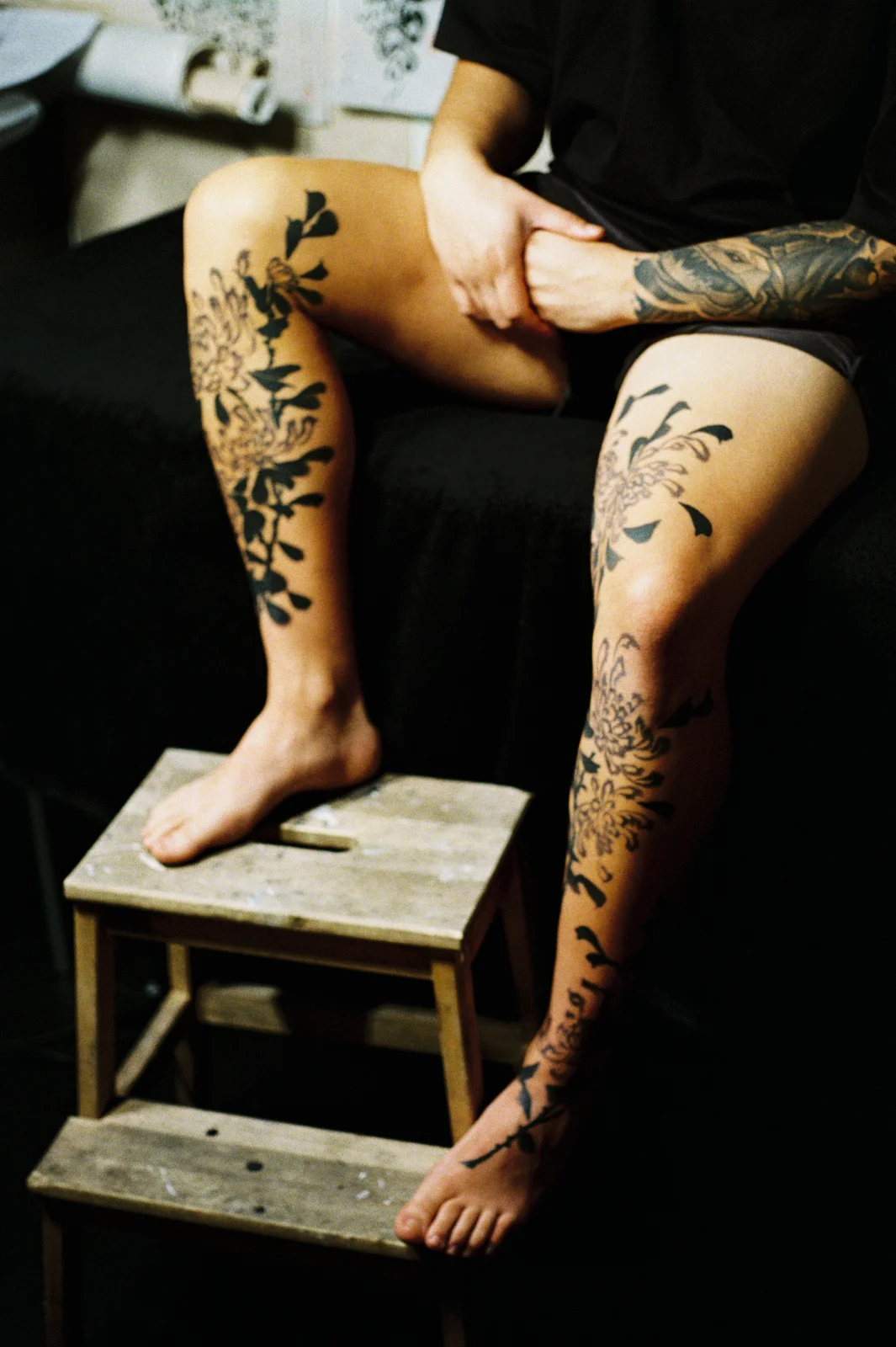 Chrysanthemum — leg — 2025, Image 43