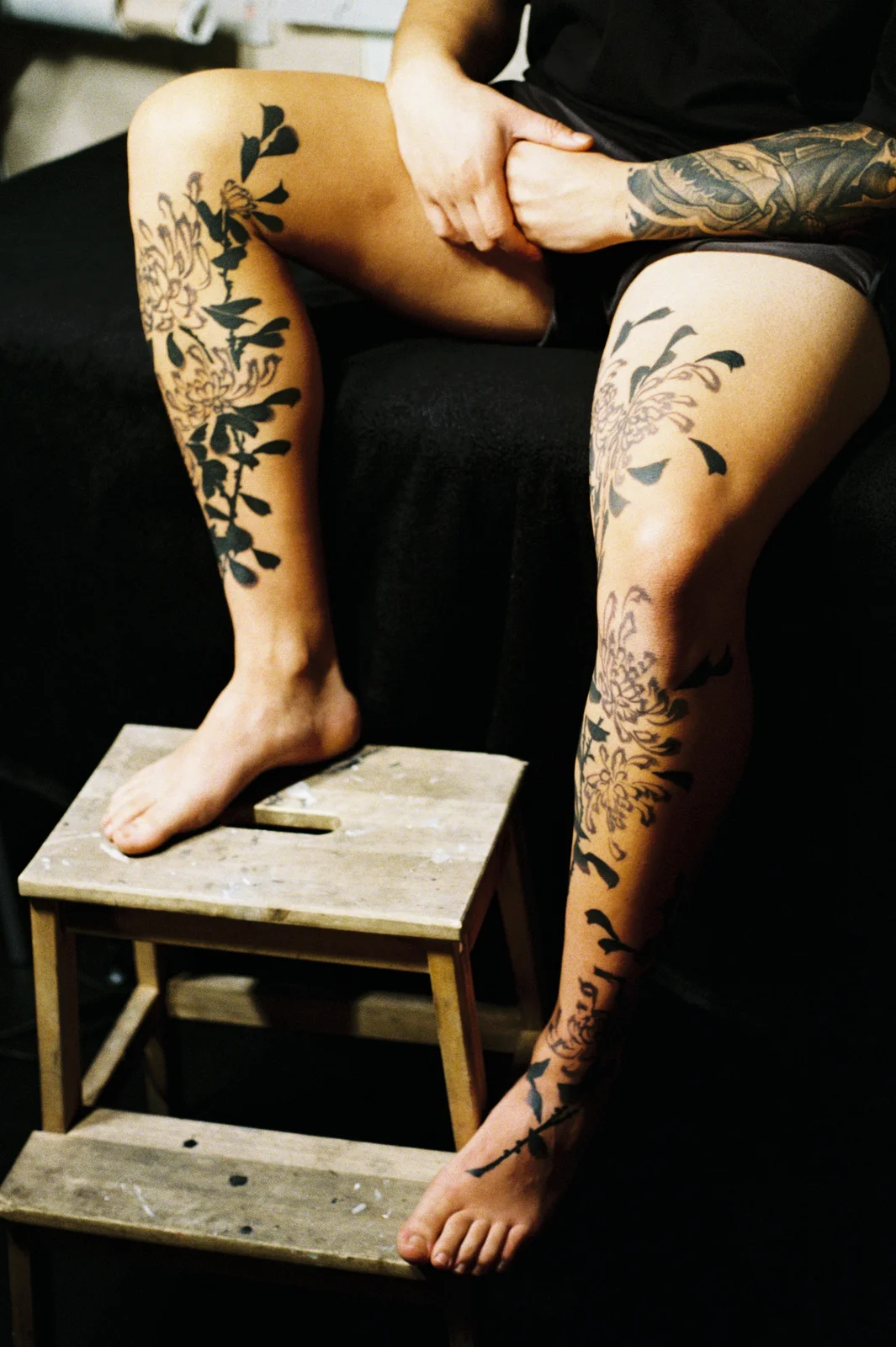 Chrysanthemum — leg — 2025, Image 44