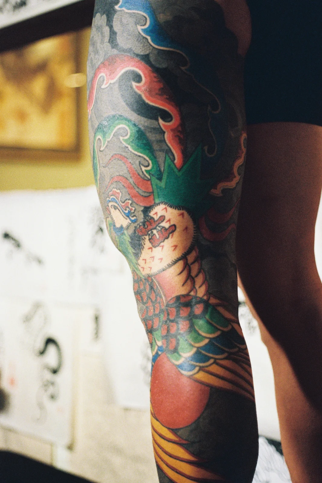 Phoenix — leg — 2025, Image 2