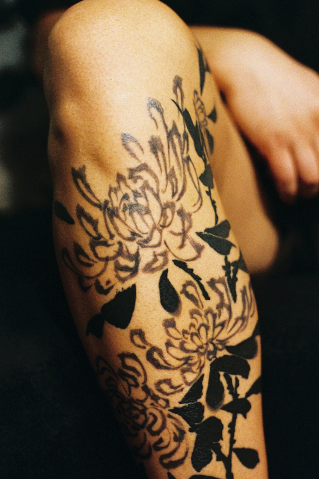 Chrysanthemum — leg — 2025, Image 65