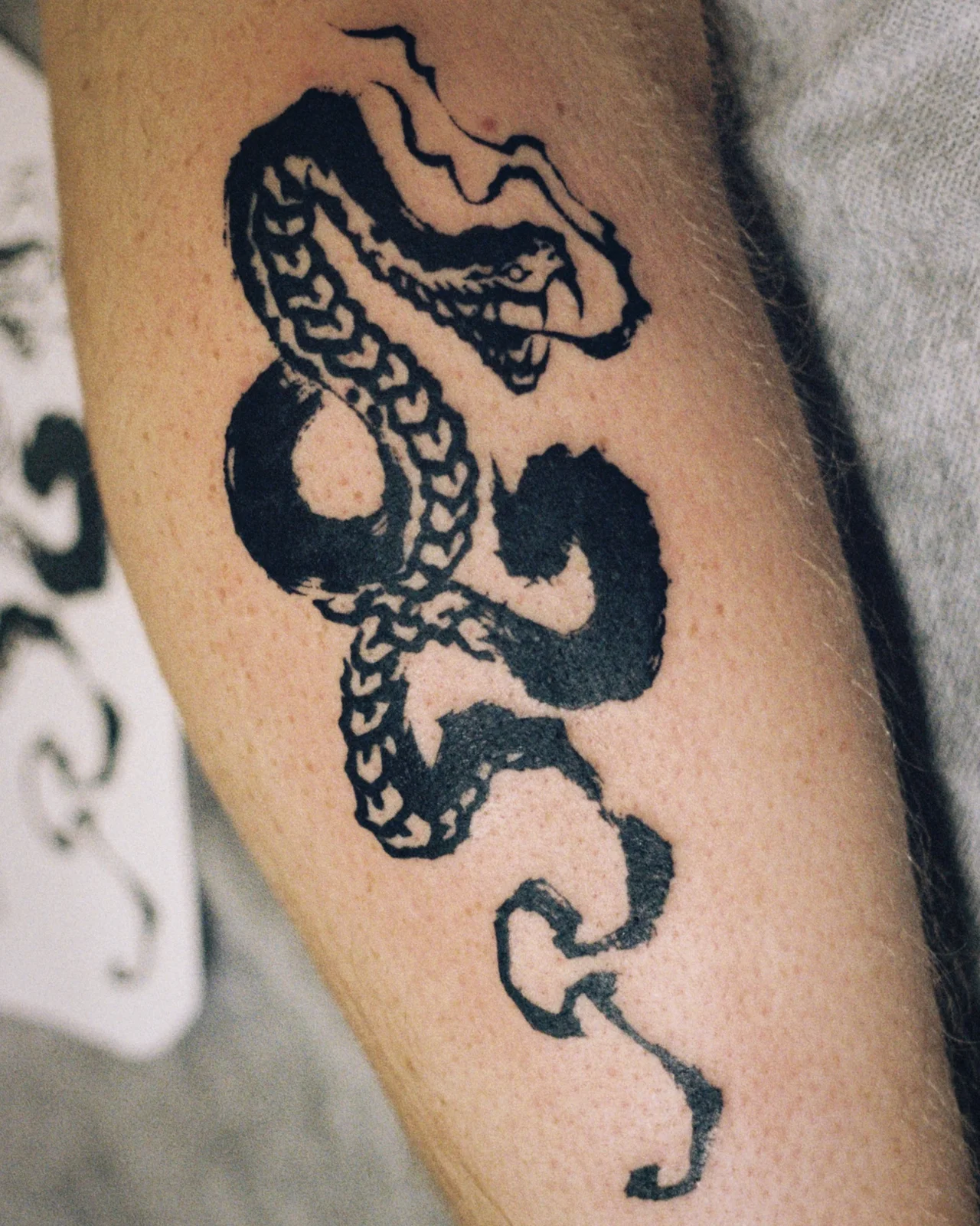 Snake — forearm — 2025, Image 2