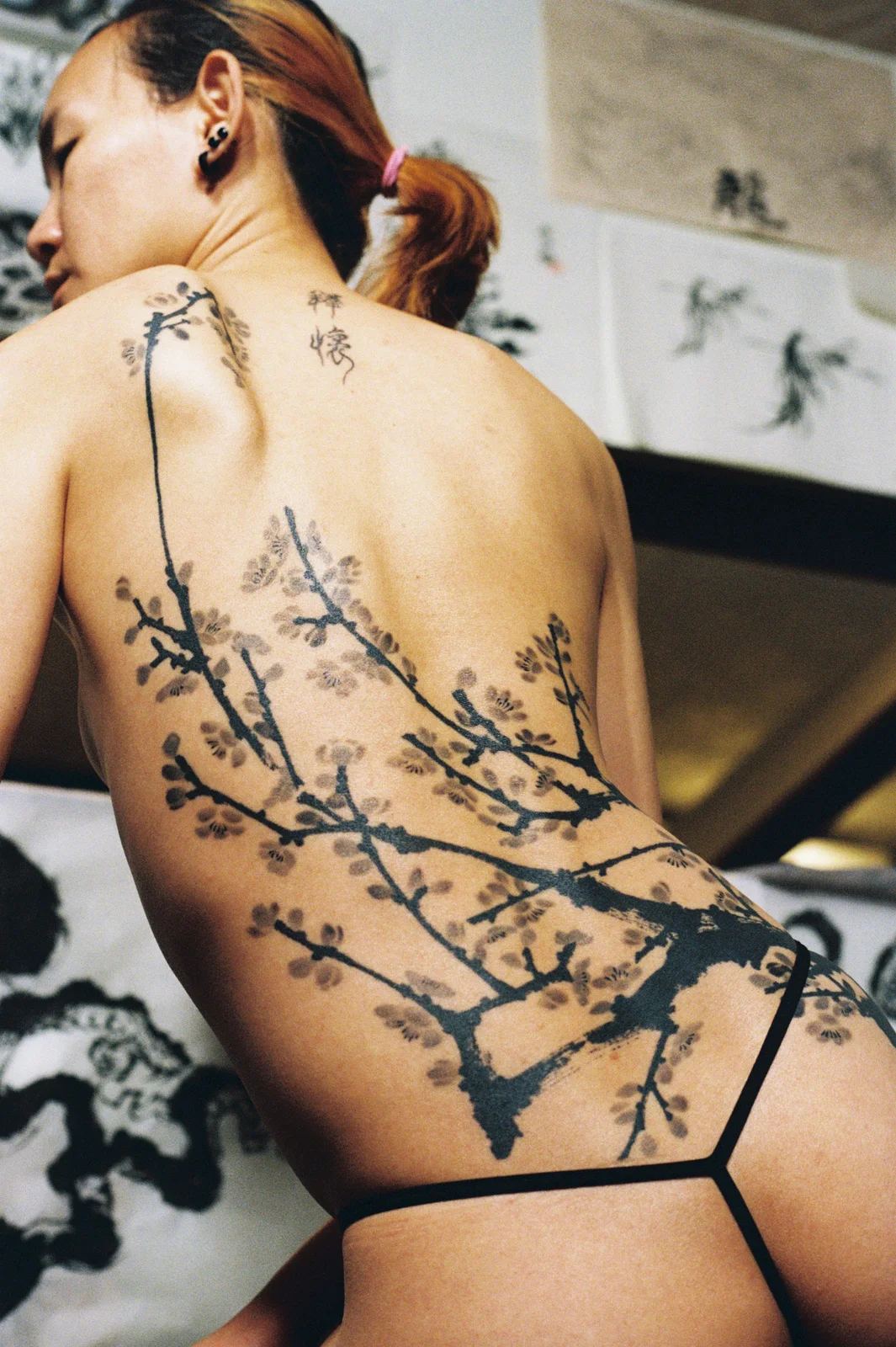 Plum blossom — back — 2025, Image 14