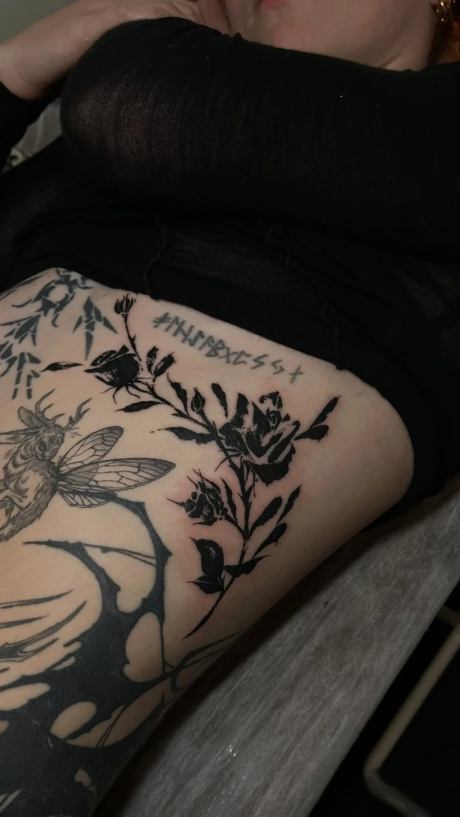 Rose — ribs — 2026, Image 2