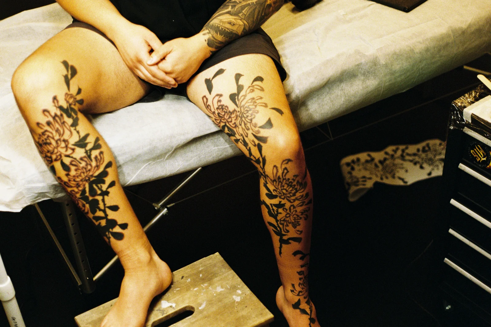 Chrysanthemum — leg — 2025, Image 25
