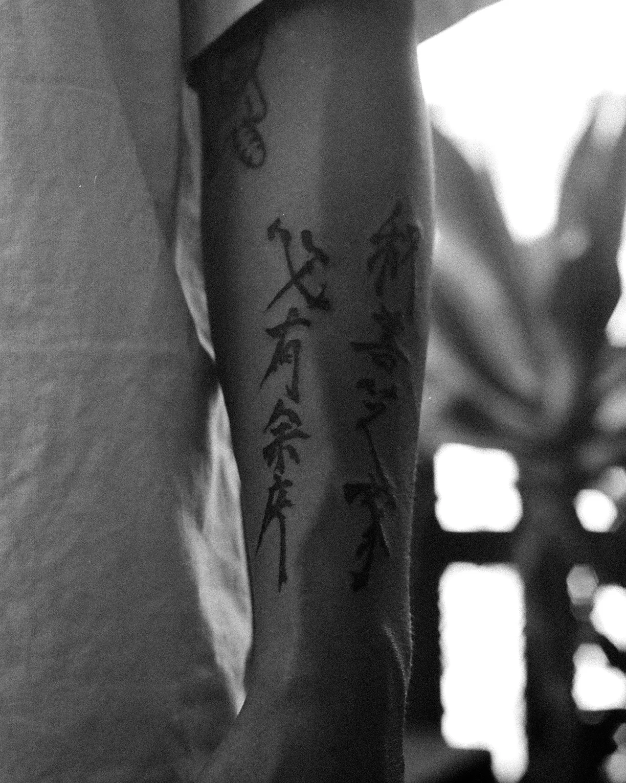 Forearm 2 — 2024, Image 2