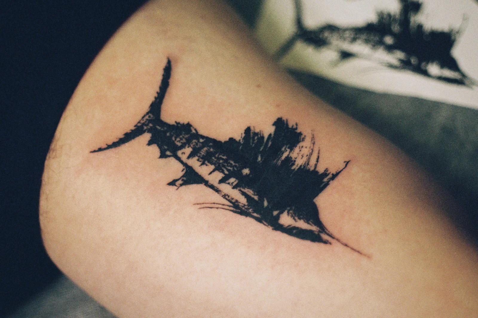 Sailfish — shoulder — 2025, Image 2