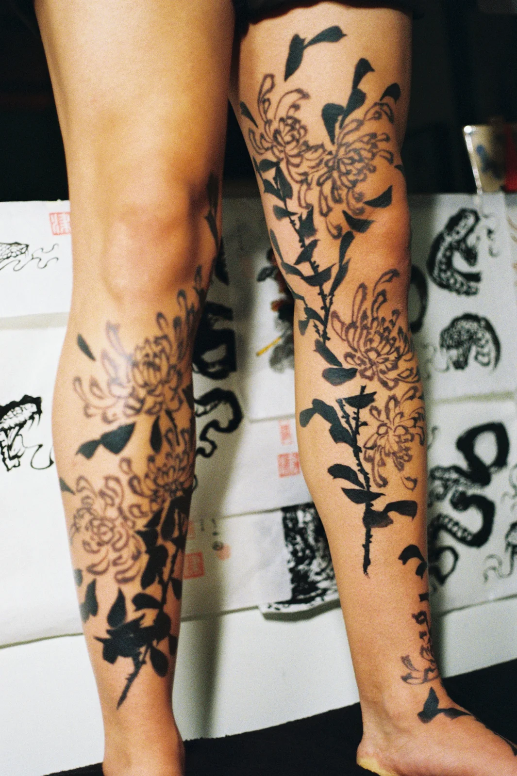 Chrysanthemum — leg — 2025, Image 29