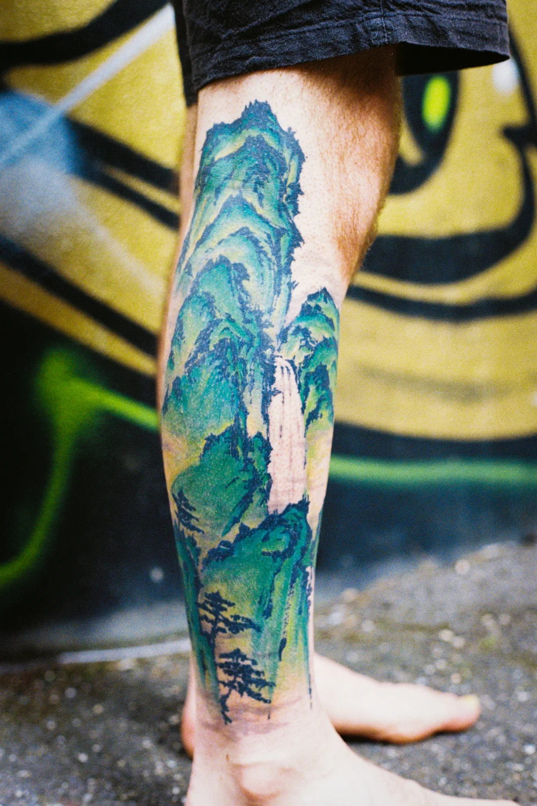 Landscape — calf — 2026, Image 10