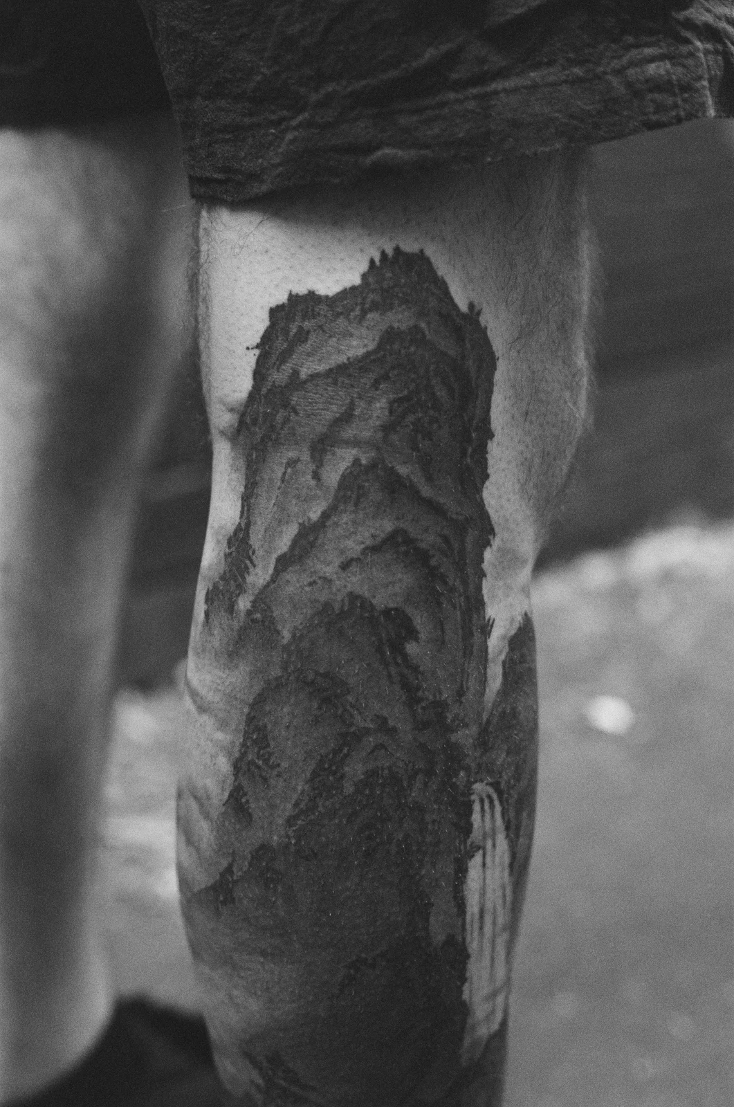 Landscape — calf — 2026, Image 16