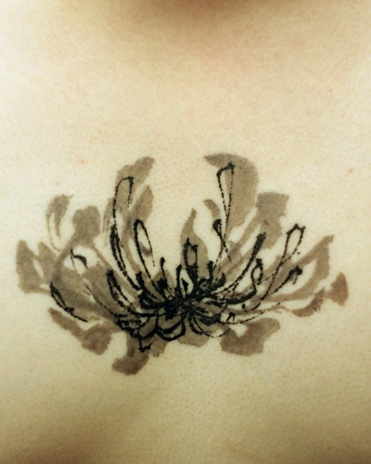 Chrysanthemum — chest — Seongjin Kim, 2023