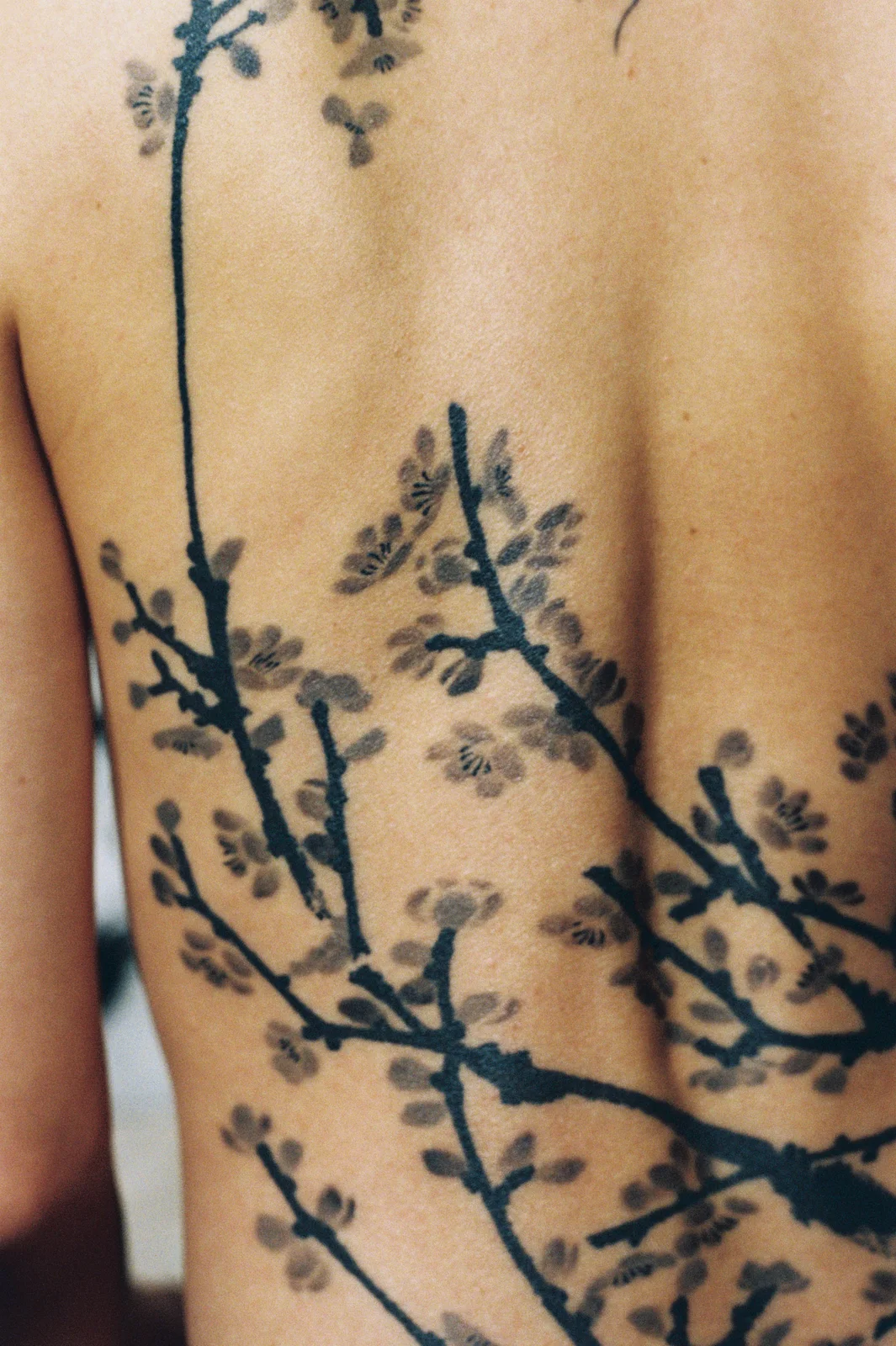 Plum blossom — back — 2025, Image 24