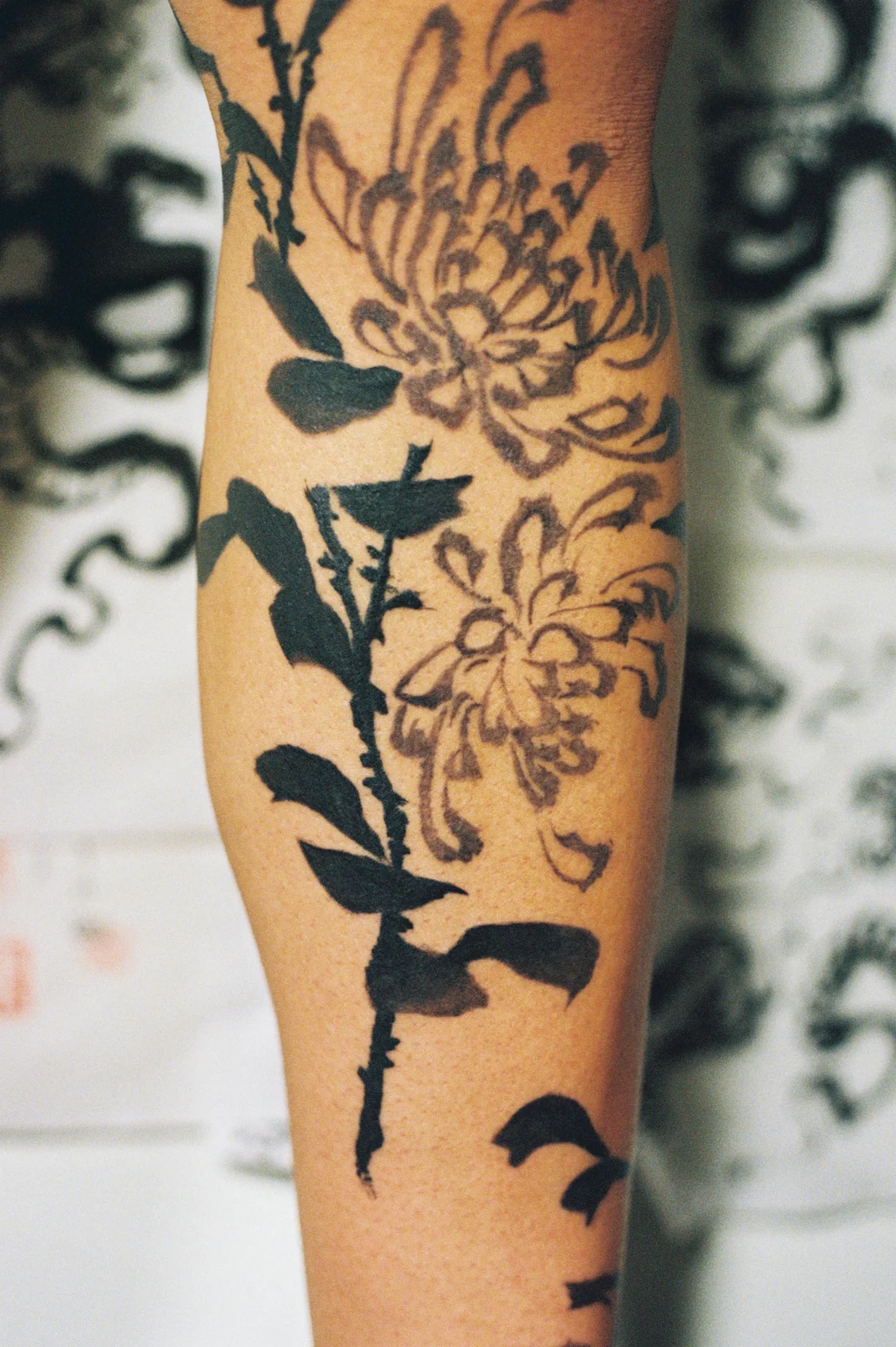 Chrysanthemum — leg — 2025, Image 17