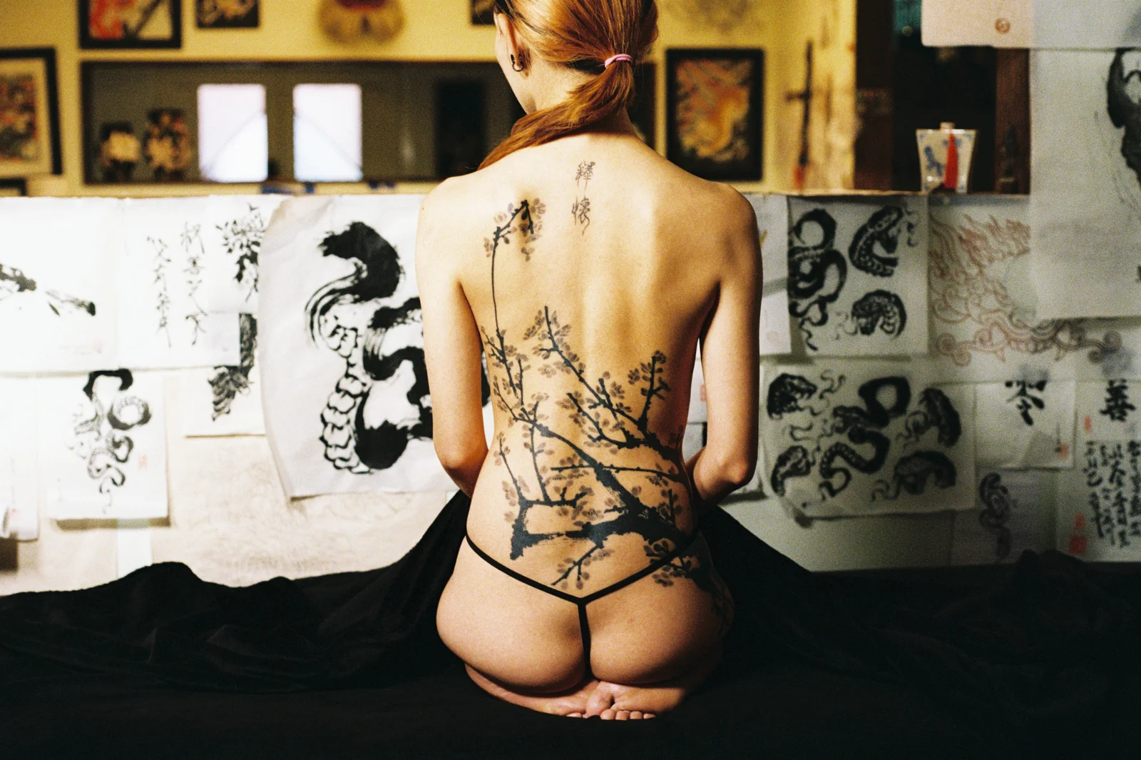 Plum blossom — back — 2025, Image 13