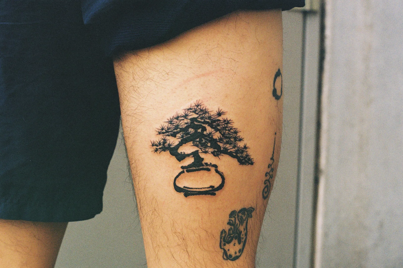 Bonsai — thigh — 2025, Image 2