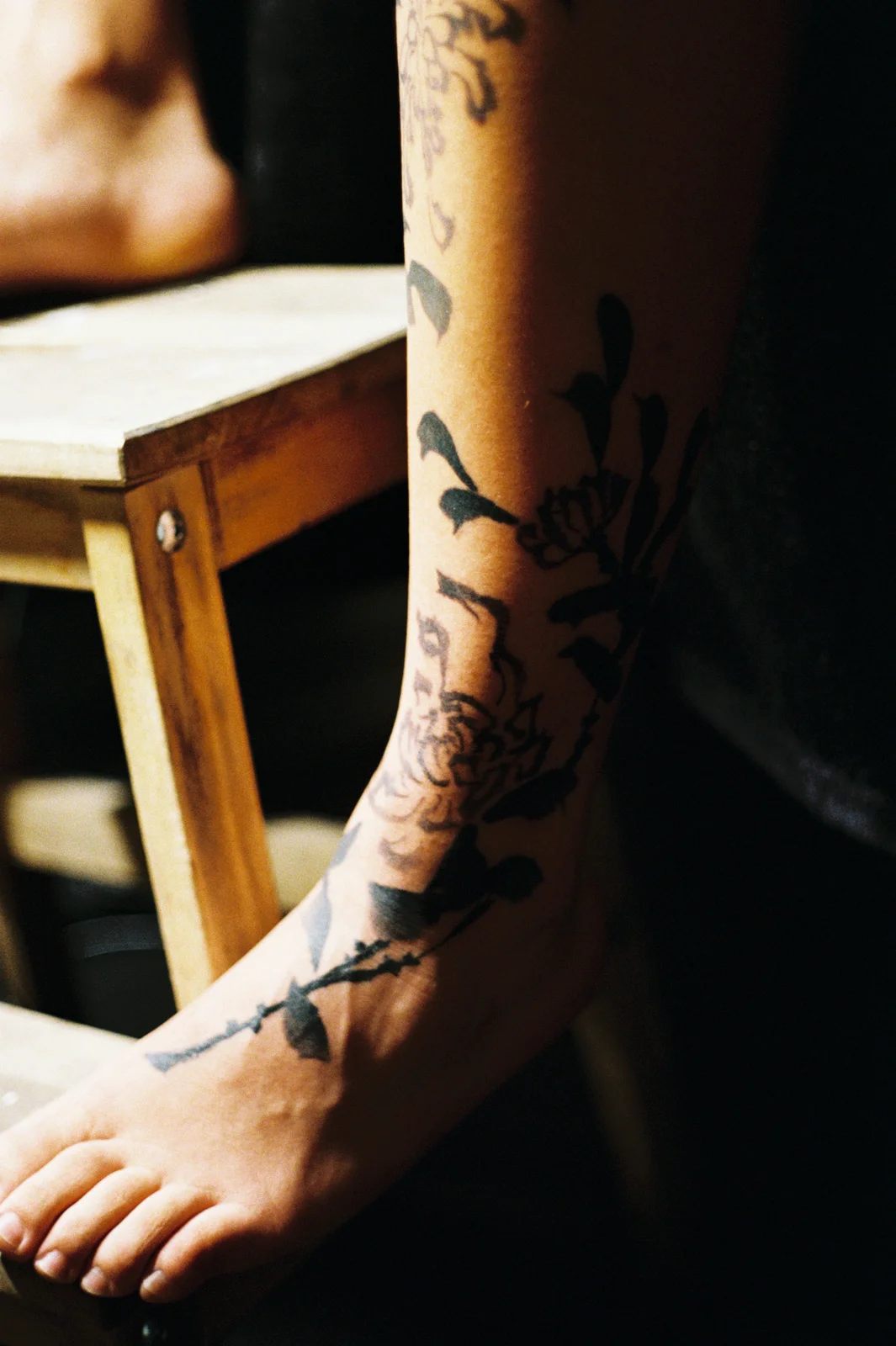 Chrysanthemum — leg — 2025, Image 52