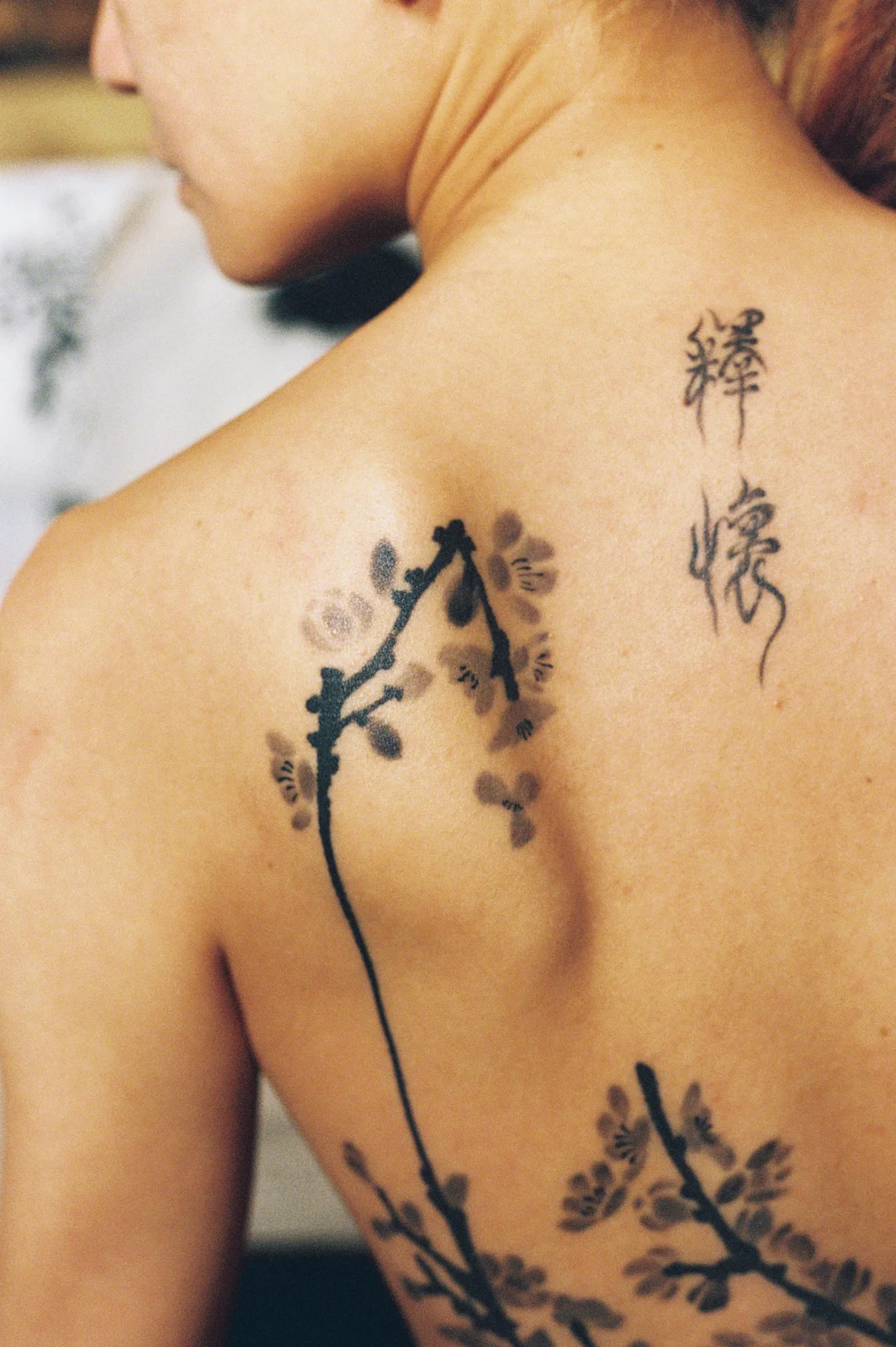 Plum blossom — back — 2025, Image 3