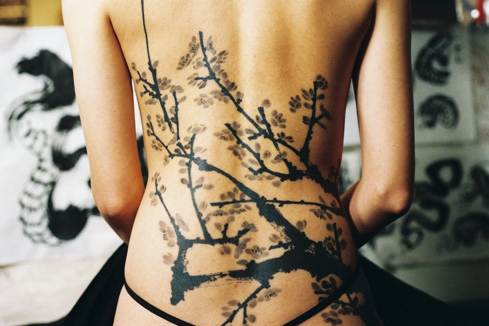 Plum blossom — back — 2025, Image 50