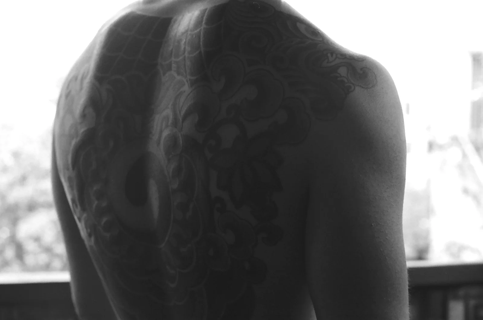 Taegeuk — back — 2024, Image 7