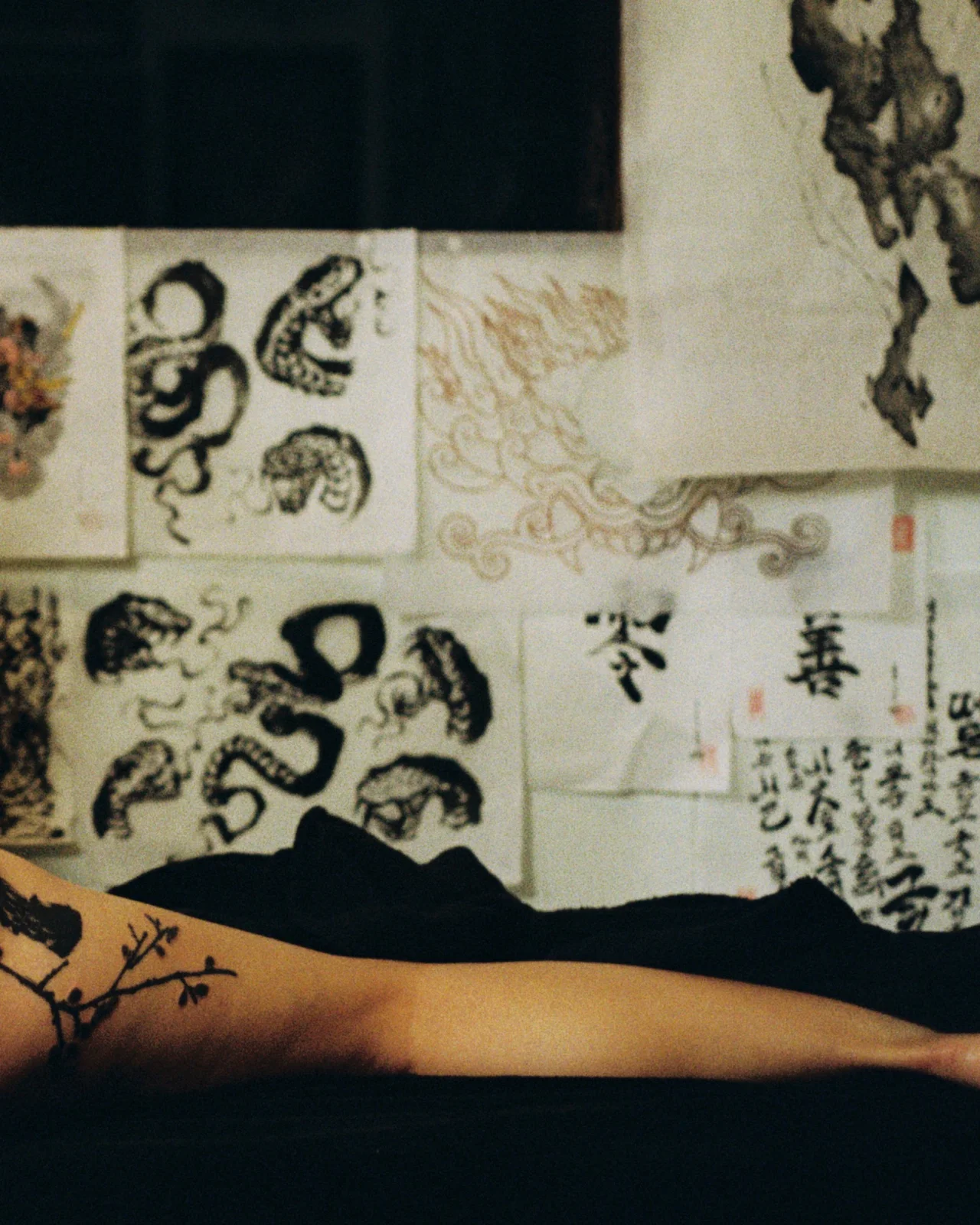 Plum blossom — back — 2025, Image 63