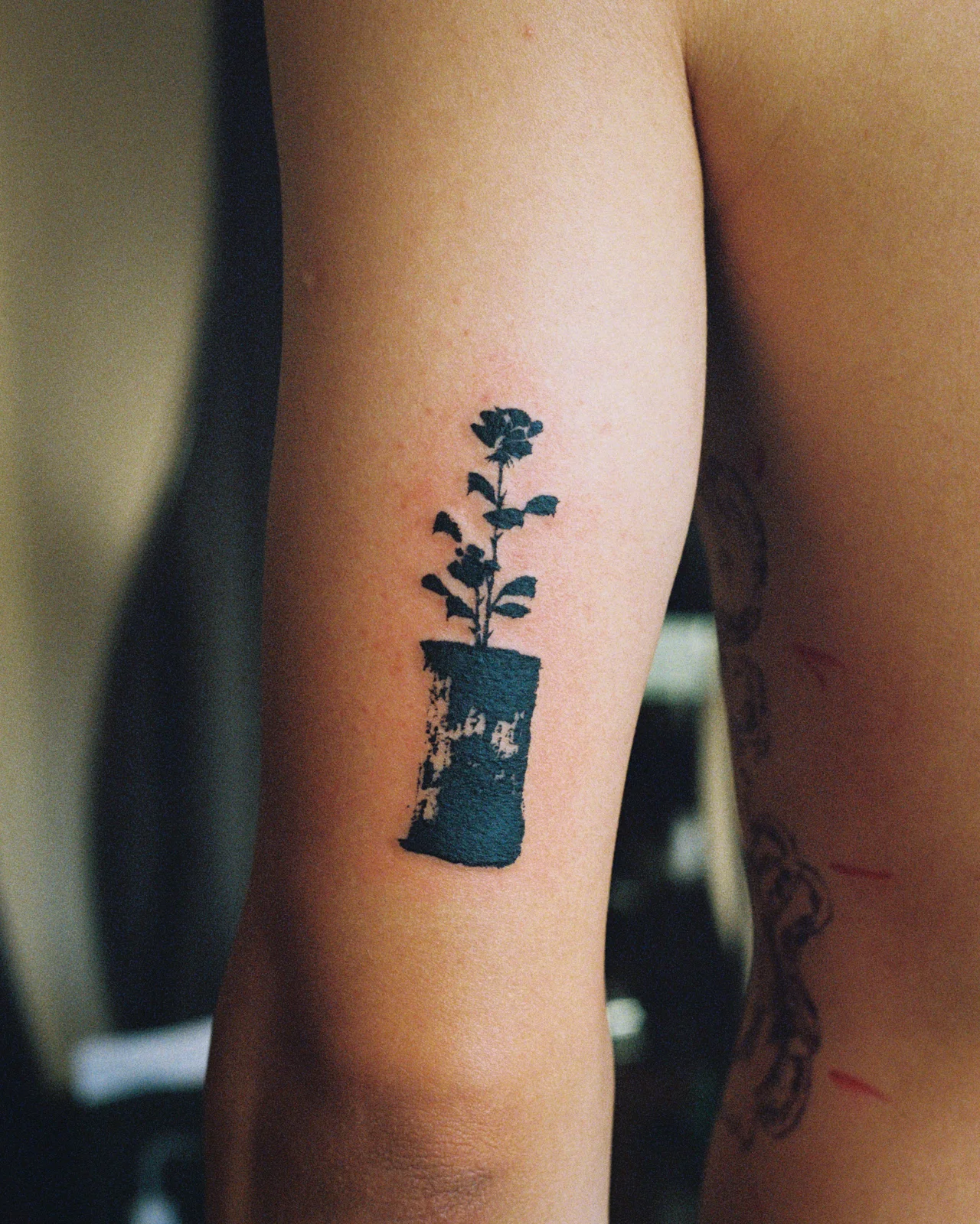 Flowers in a vase — arm — Seongjin Kim, 2026