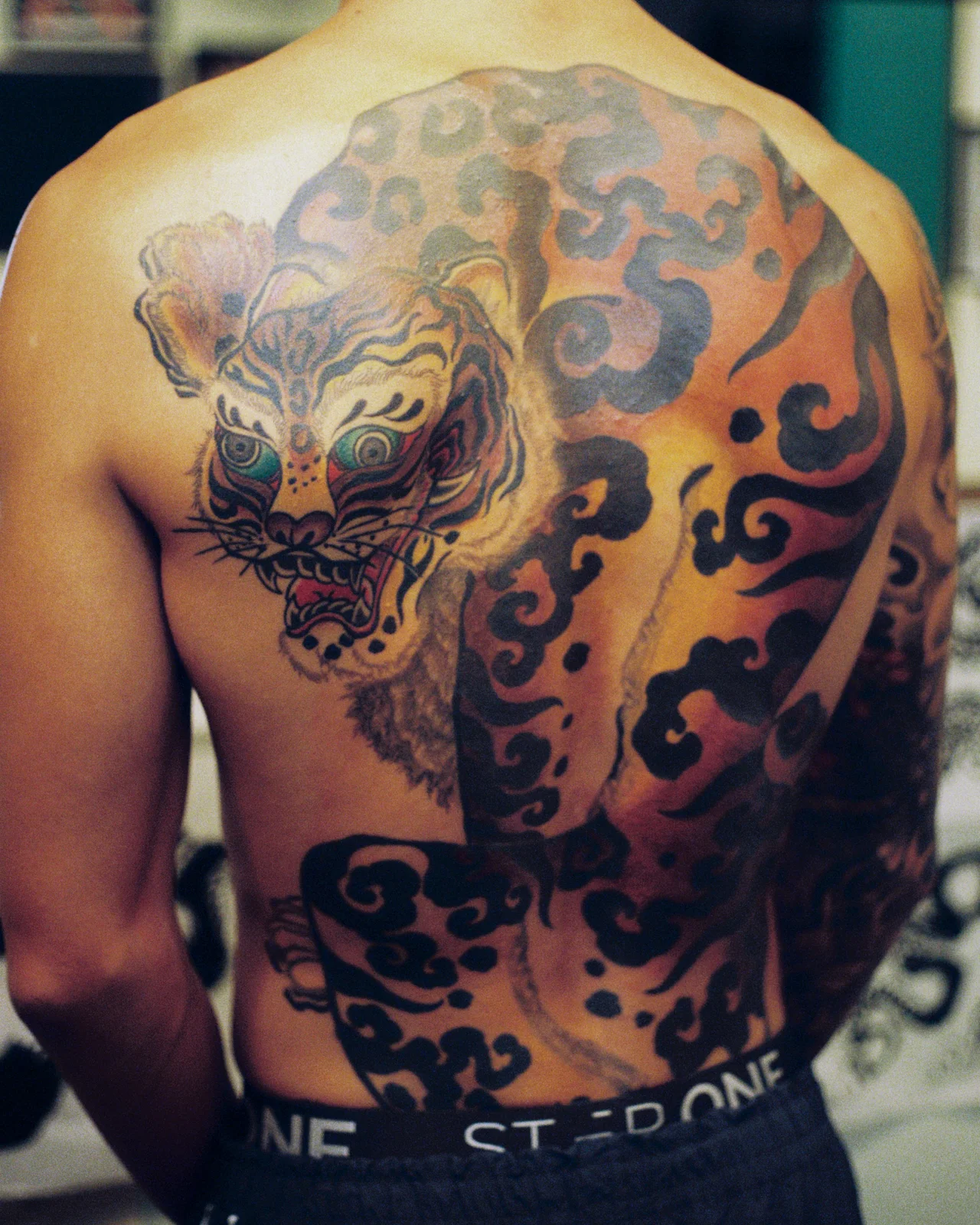 Tiger — back — 2026, Image 8