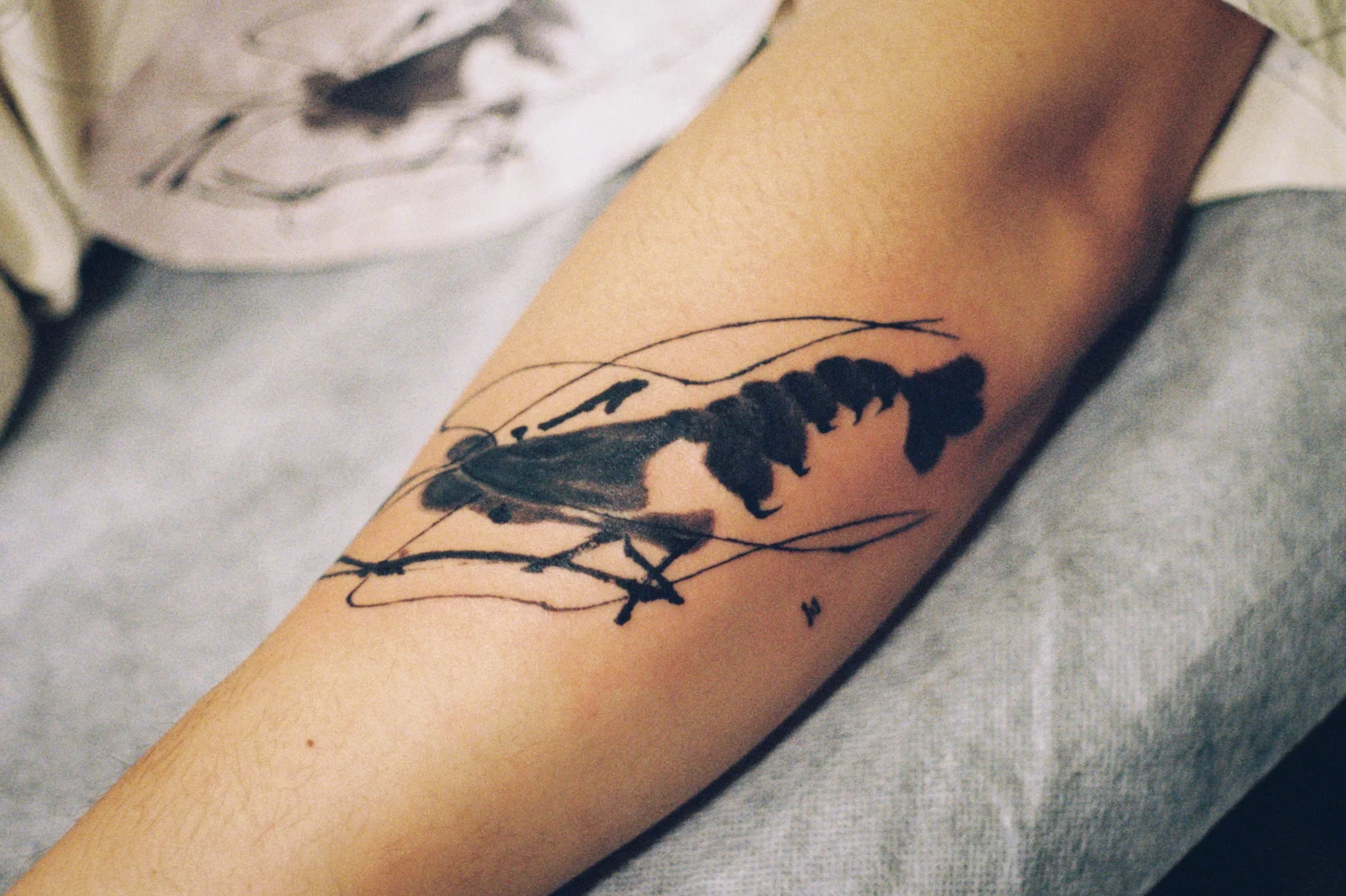 Shrimp — forearm — 2025, Image 2