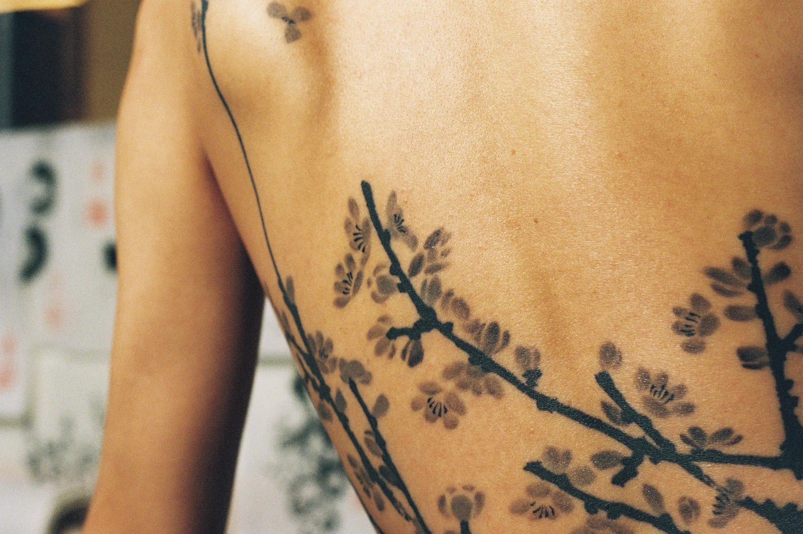 Plum blossom — back — 2025, Image 61