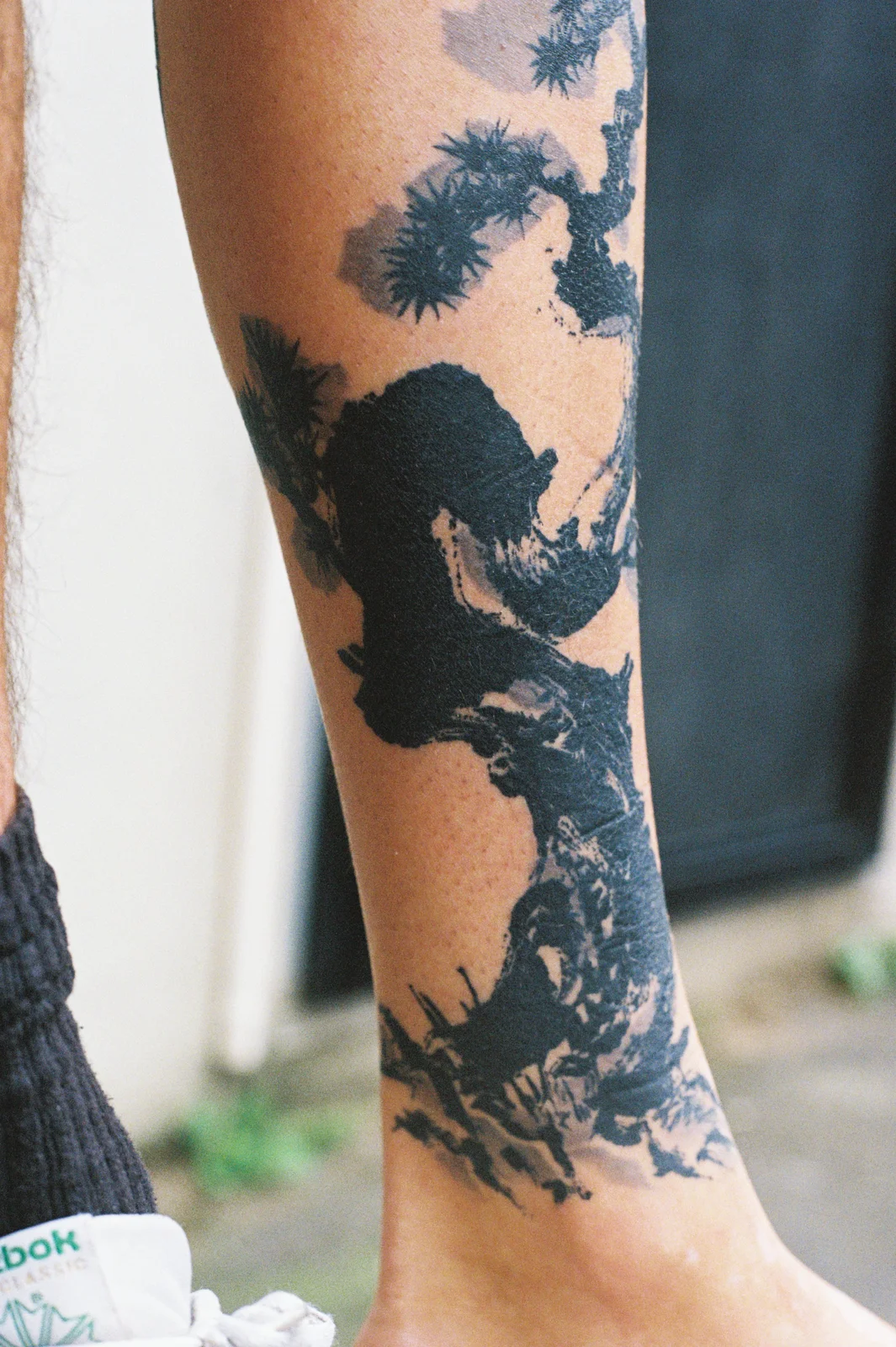 Pine — calf — 2025, Image 3