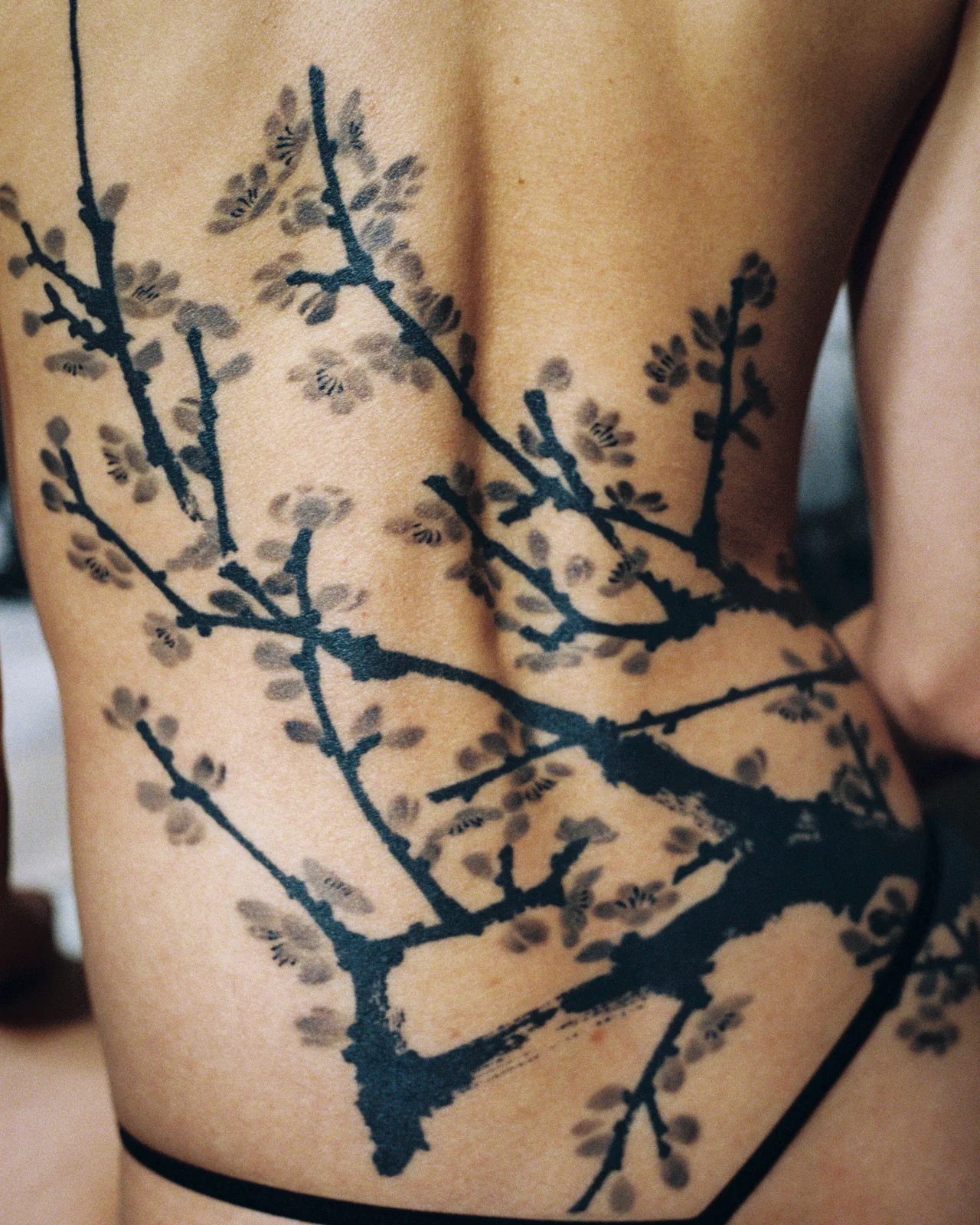 Plum blossom — back — 2025, Image 28