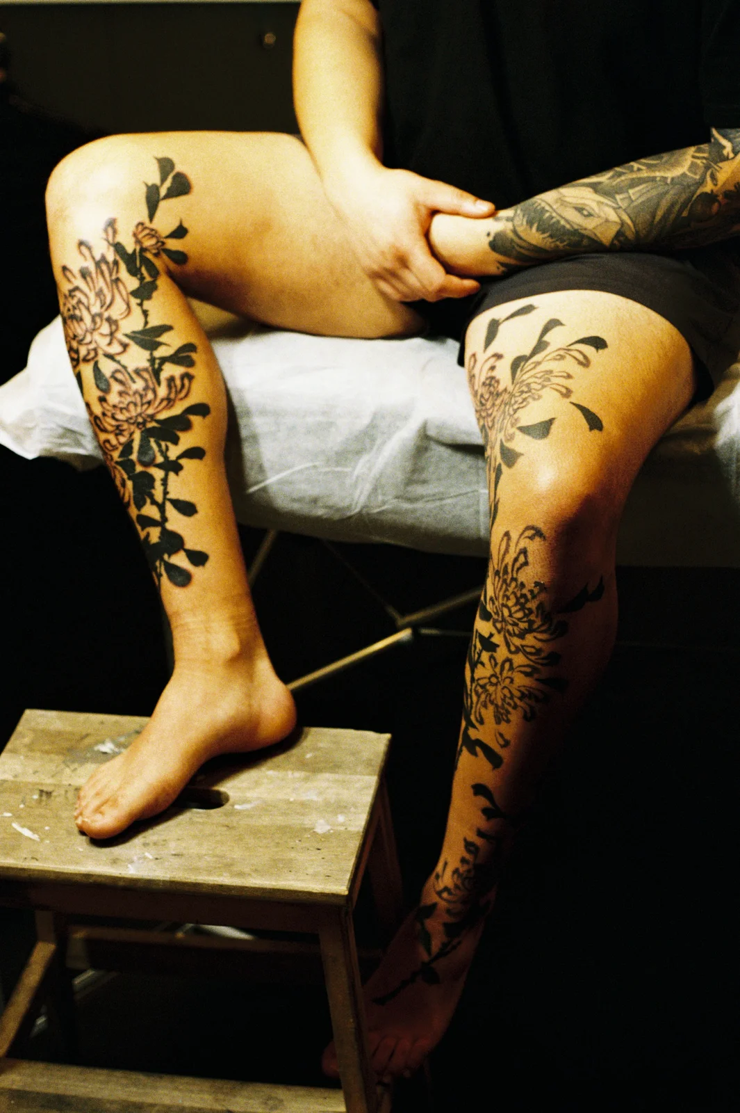 Chrysanthemum — leg — 2025, Image 57