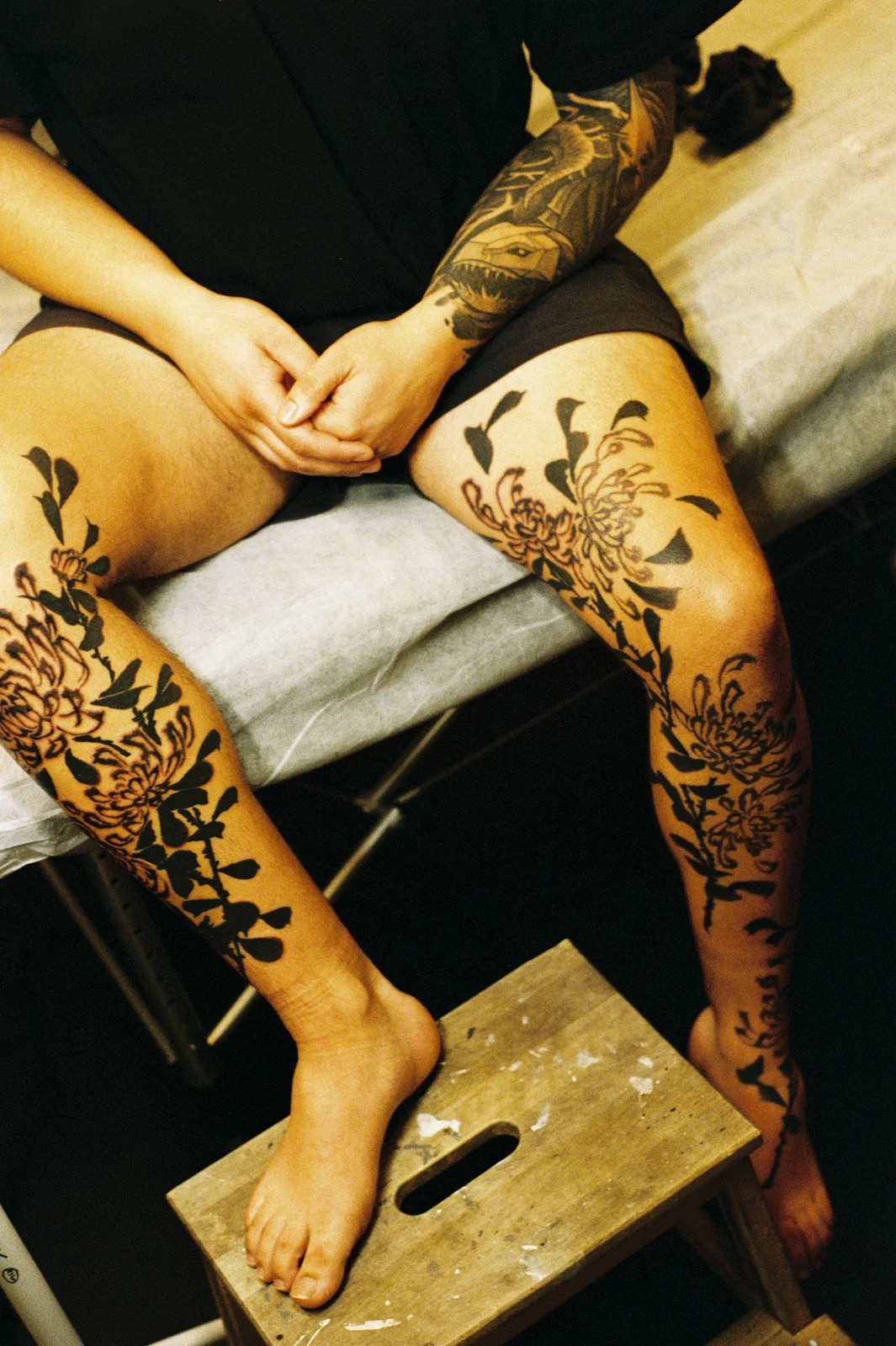 Chrysanthemum — leg — 2025, Image 19