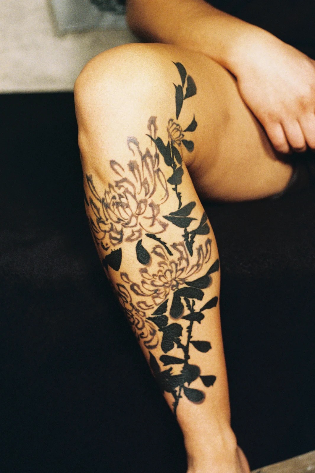 Chrysanthemum — leg — 2025, Image 59