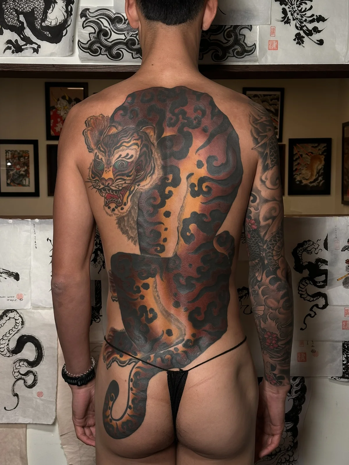Tiger — back — 2026, Image 10